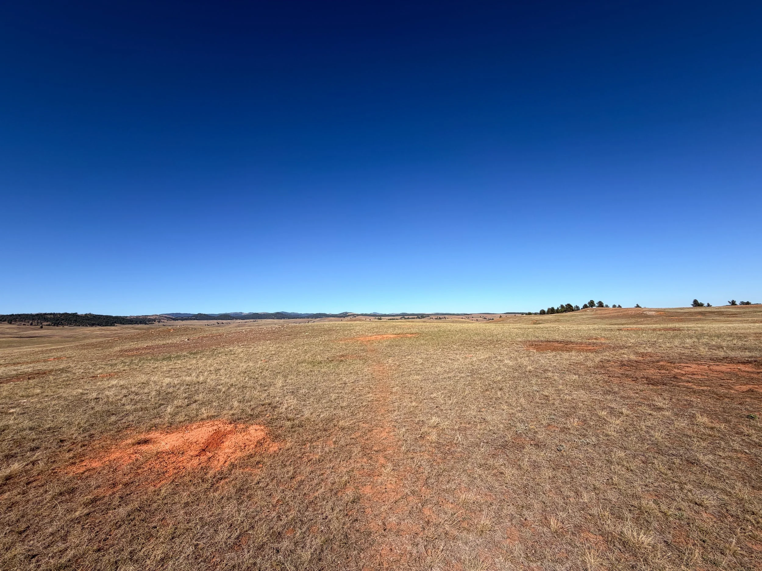 East Bison Flats Trail Wind Cave National Park South Dakota
