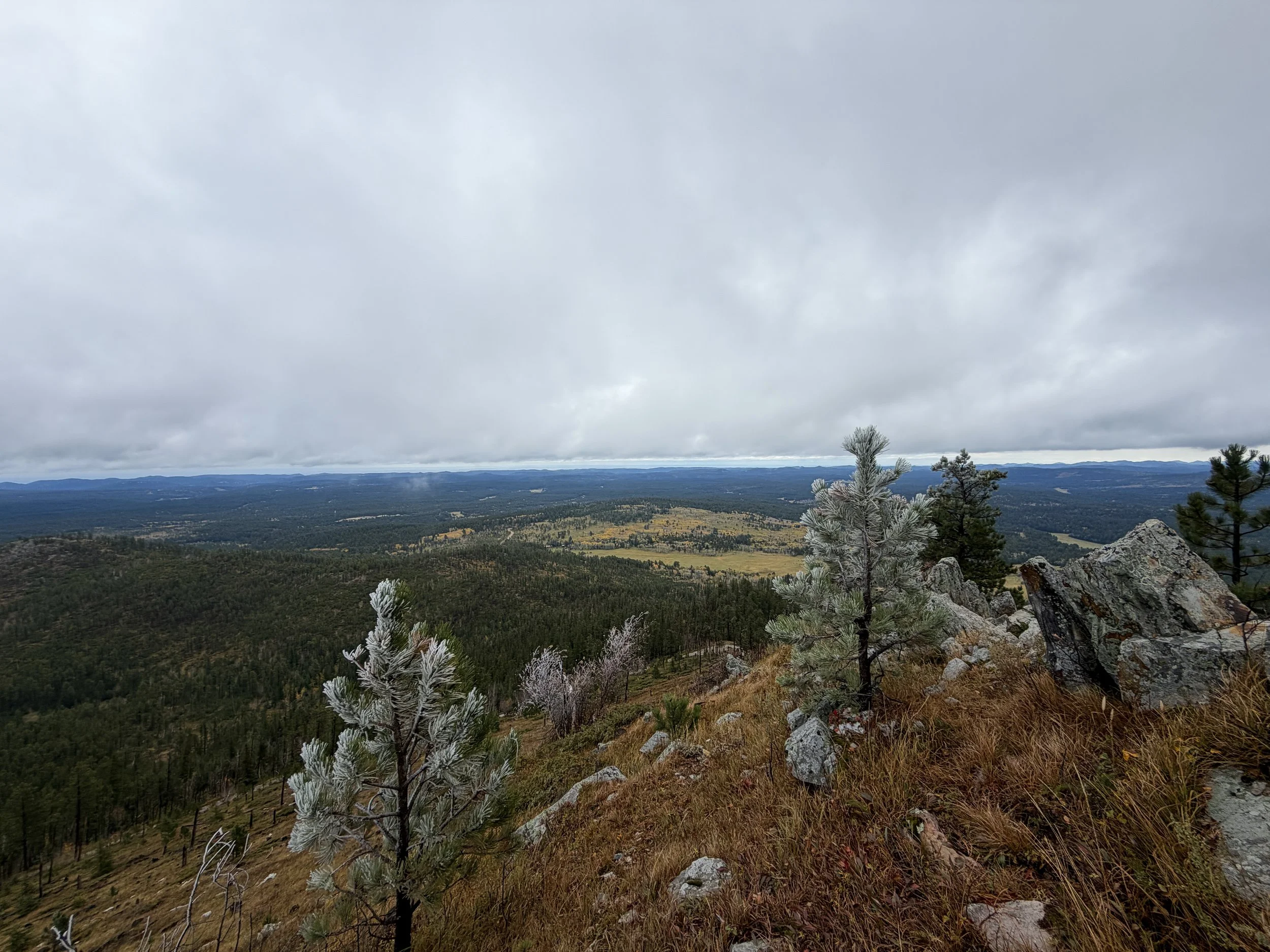 Custer Peak Black Hills South Dakota