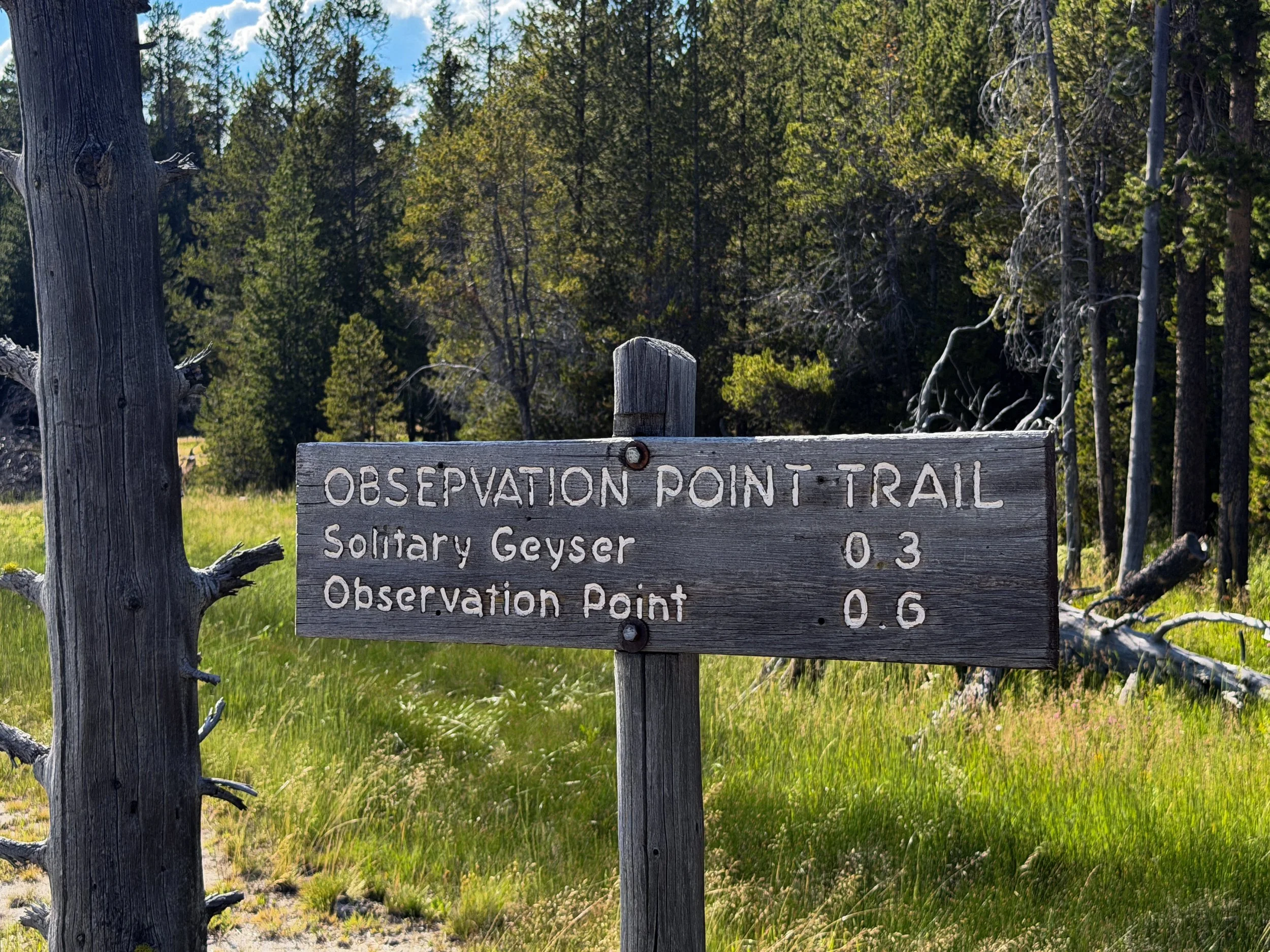 Upper Geyser Hill Trail Yellowstone National Park Wyoming