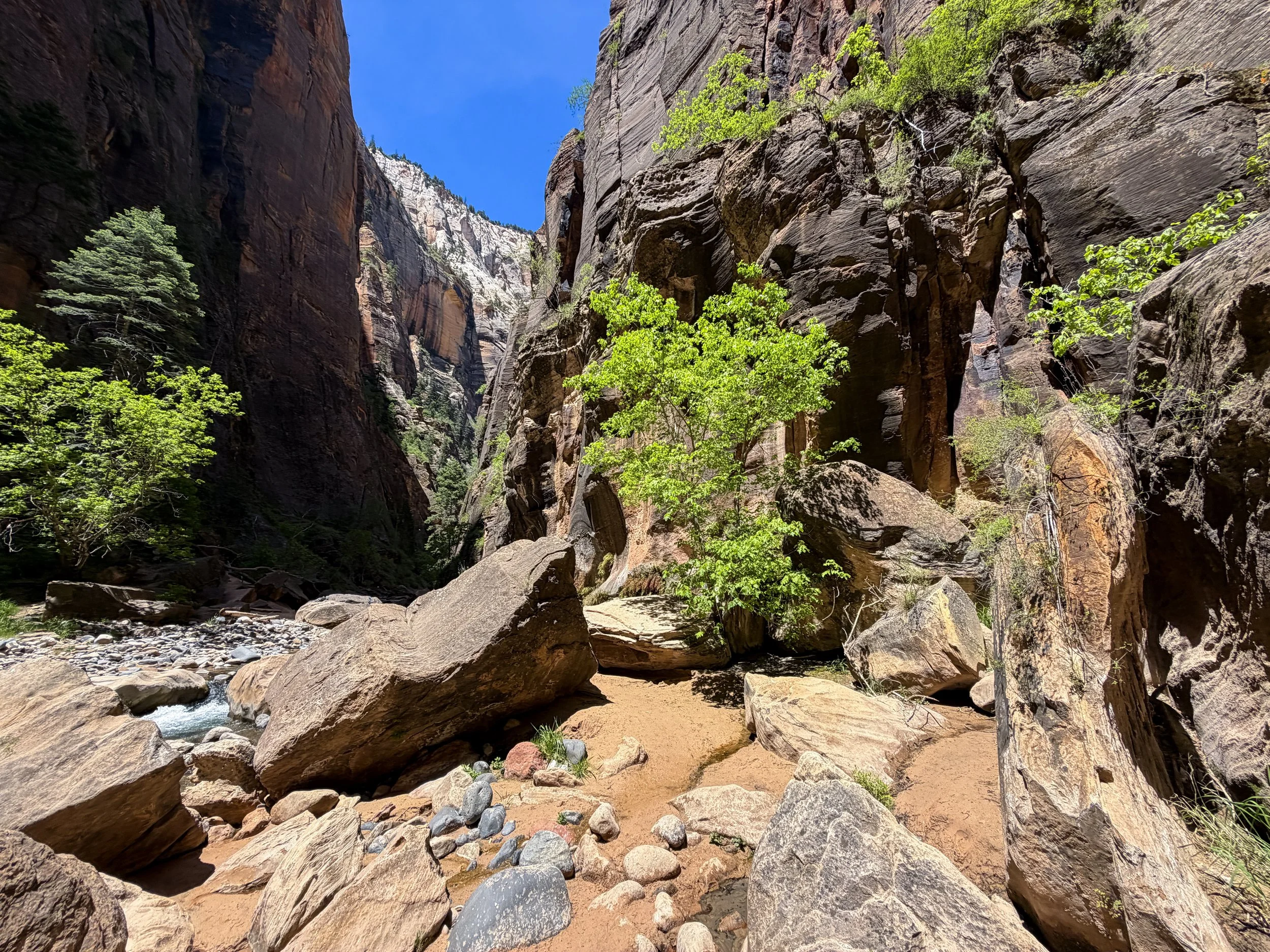 The Narrows Zion National Park Utah