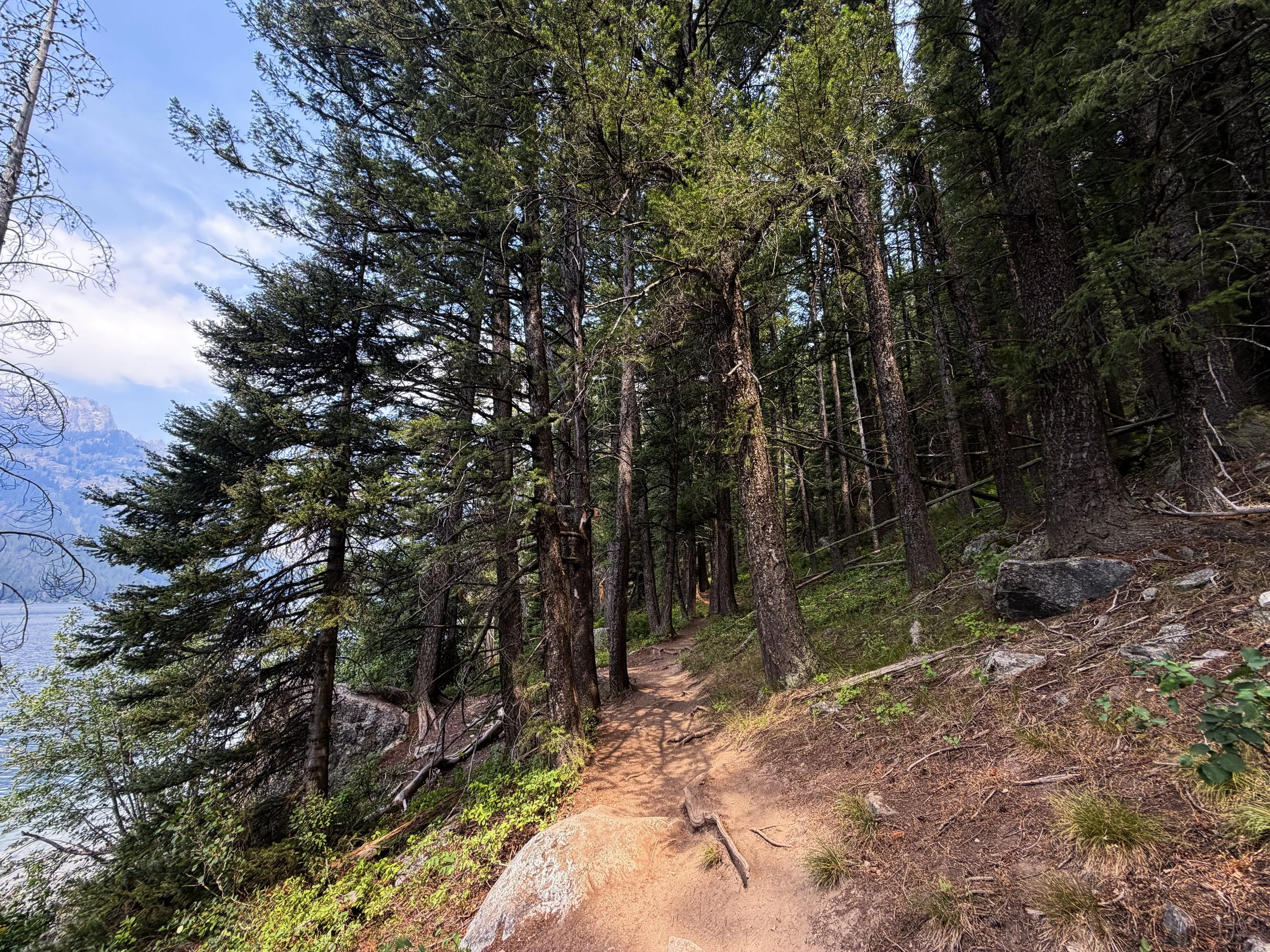 Phelps Lake Loop Trail to Cliff Jumping Rock Grand Teton National Park Wyoming