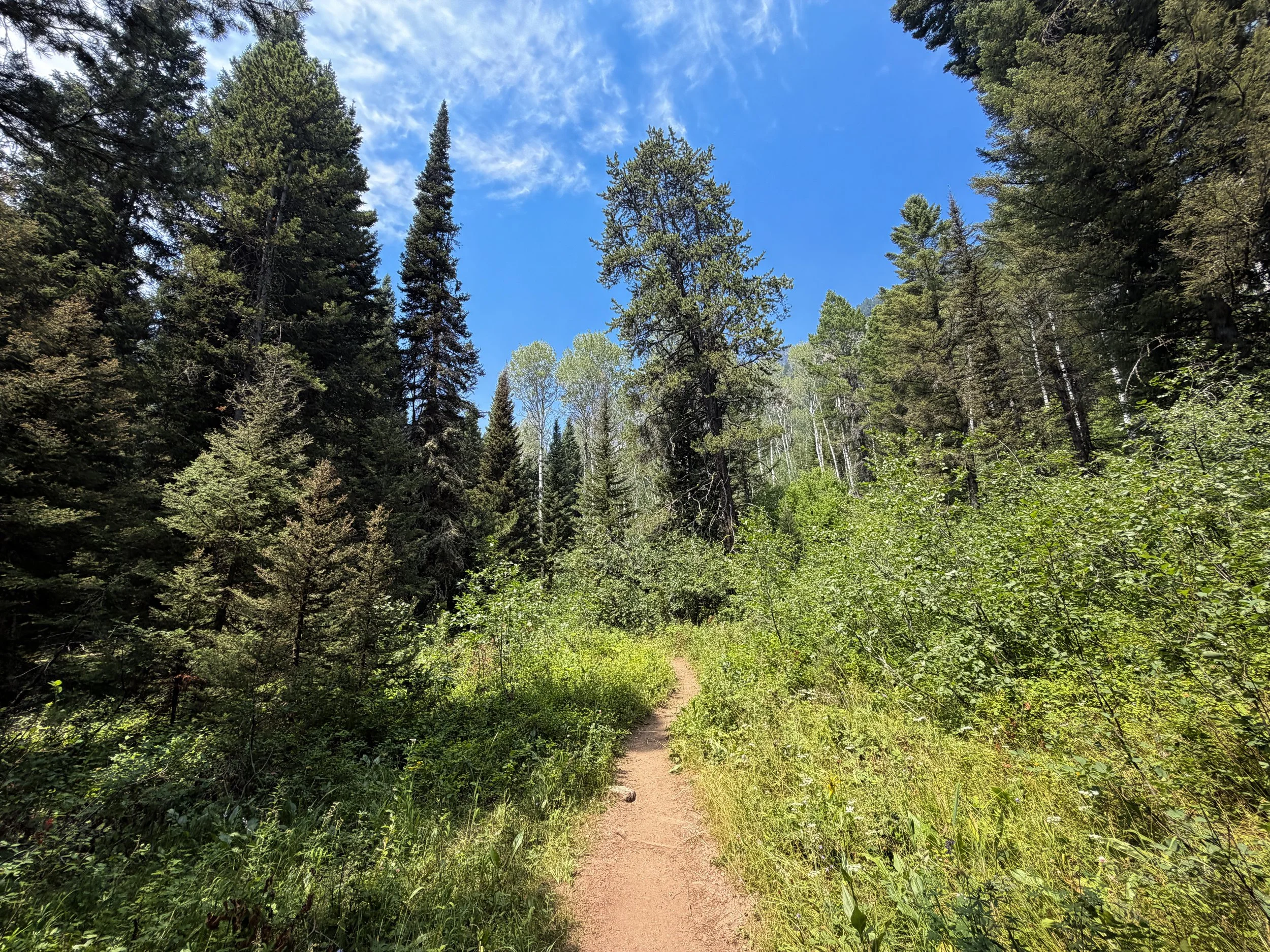 Phelps Lake Loop Trail Grand Teton National Park Wyoming