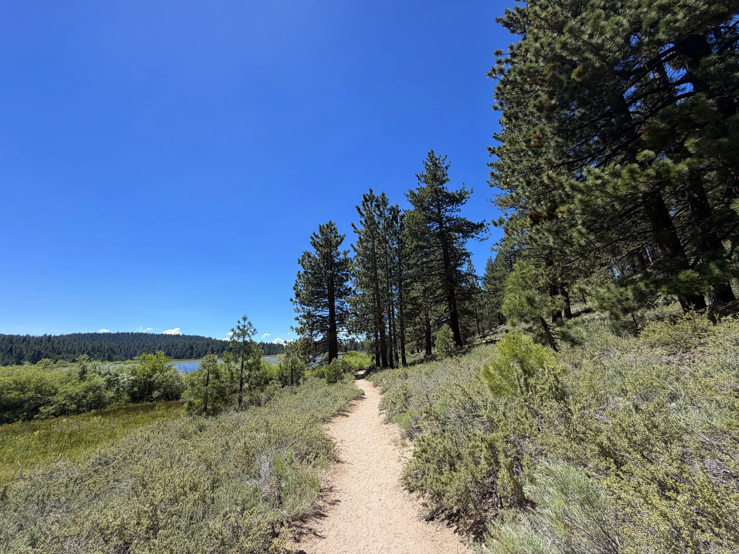 Spooner Lake Loop Hike Lake Tahoe Nevada