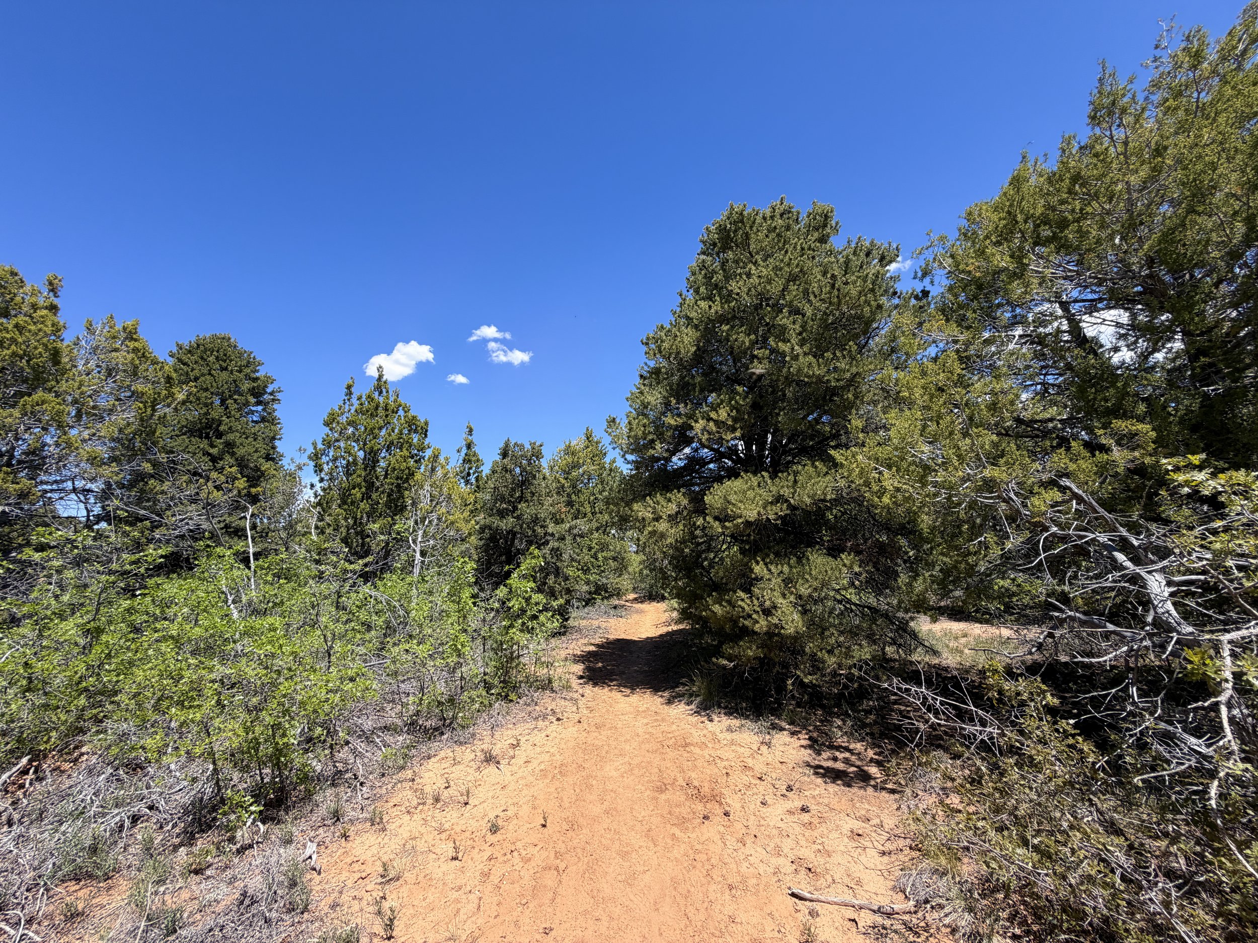 Cable Mountain Hike Zion National Park Utah