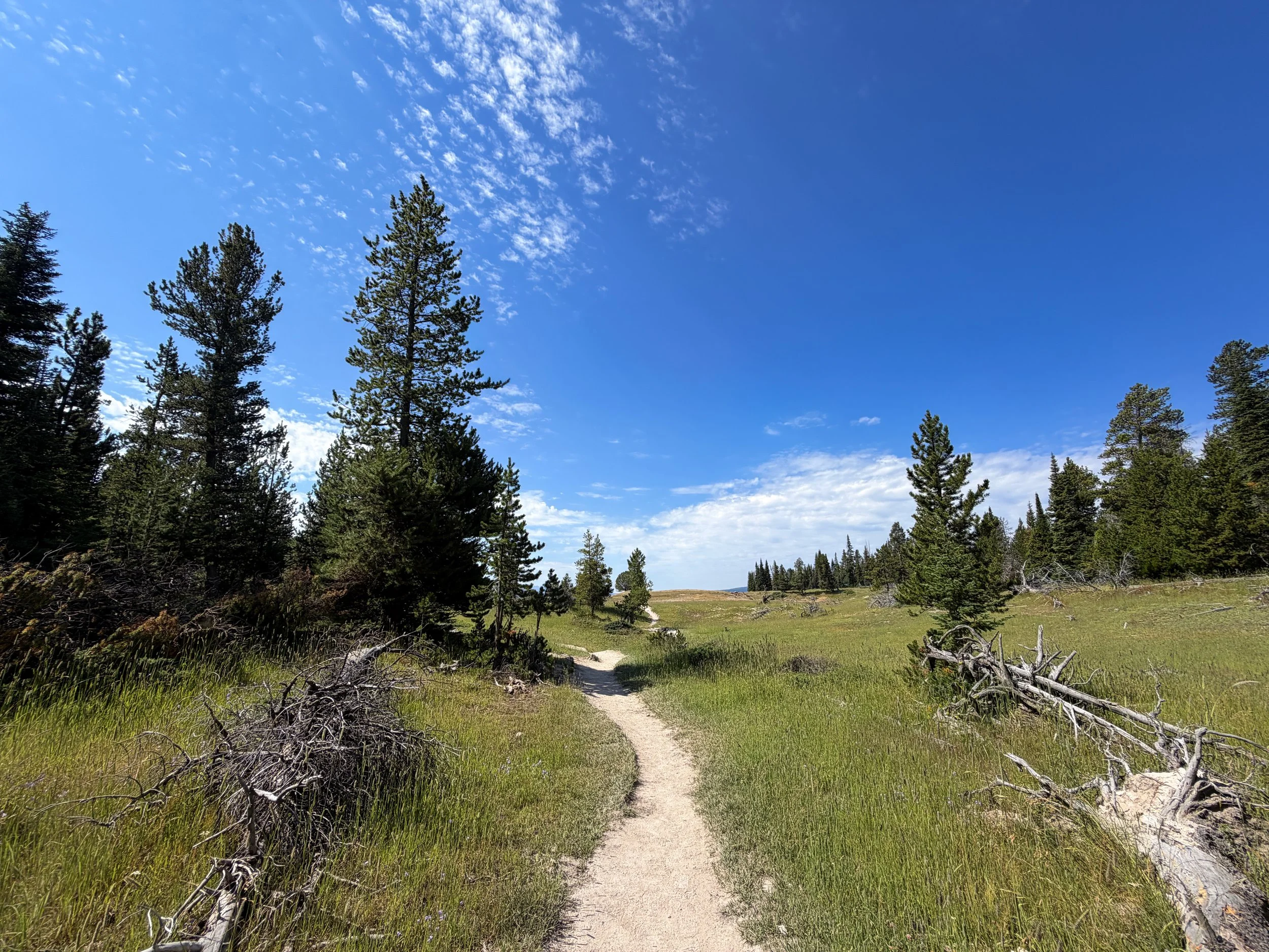 Storm Point Hike Yellowstone National Park Wyoming