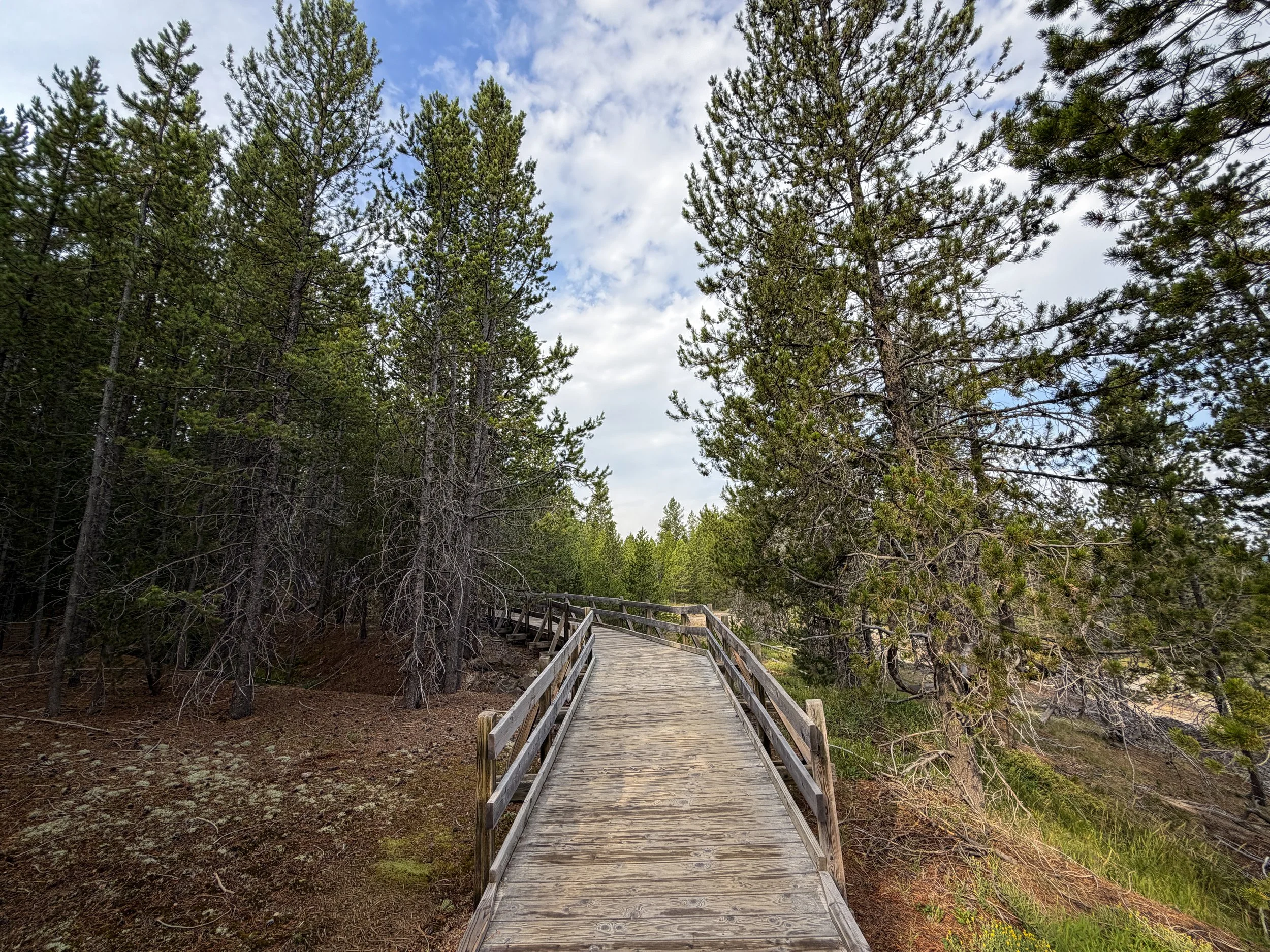 Norris Geyser Basin Trail Yellowstone National Park Wyoming