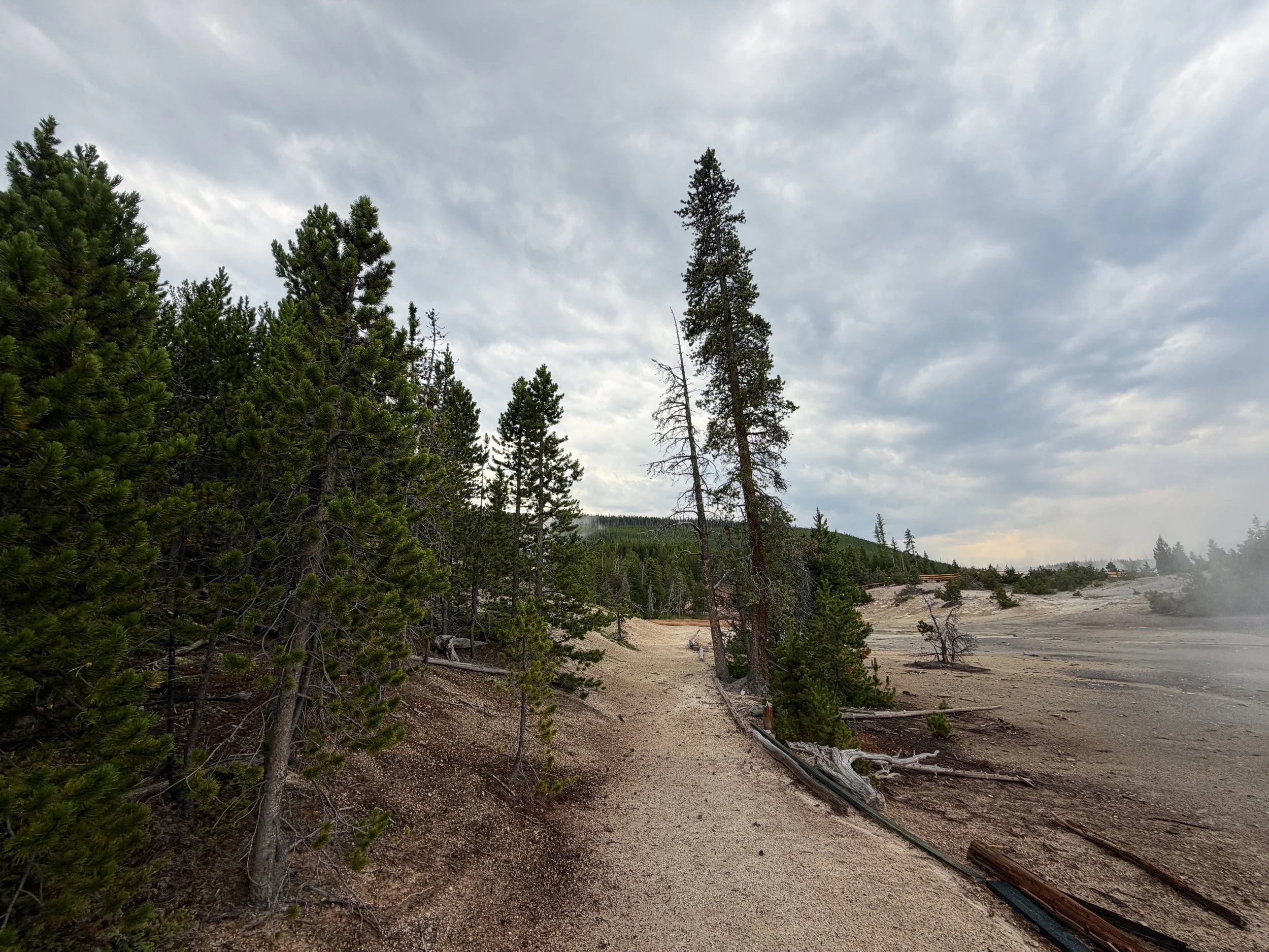 Norris Geyser Basin Hike Yellowstone National Park Wyoming