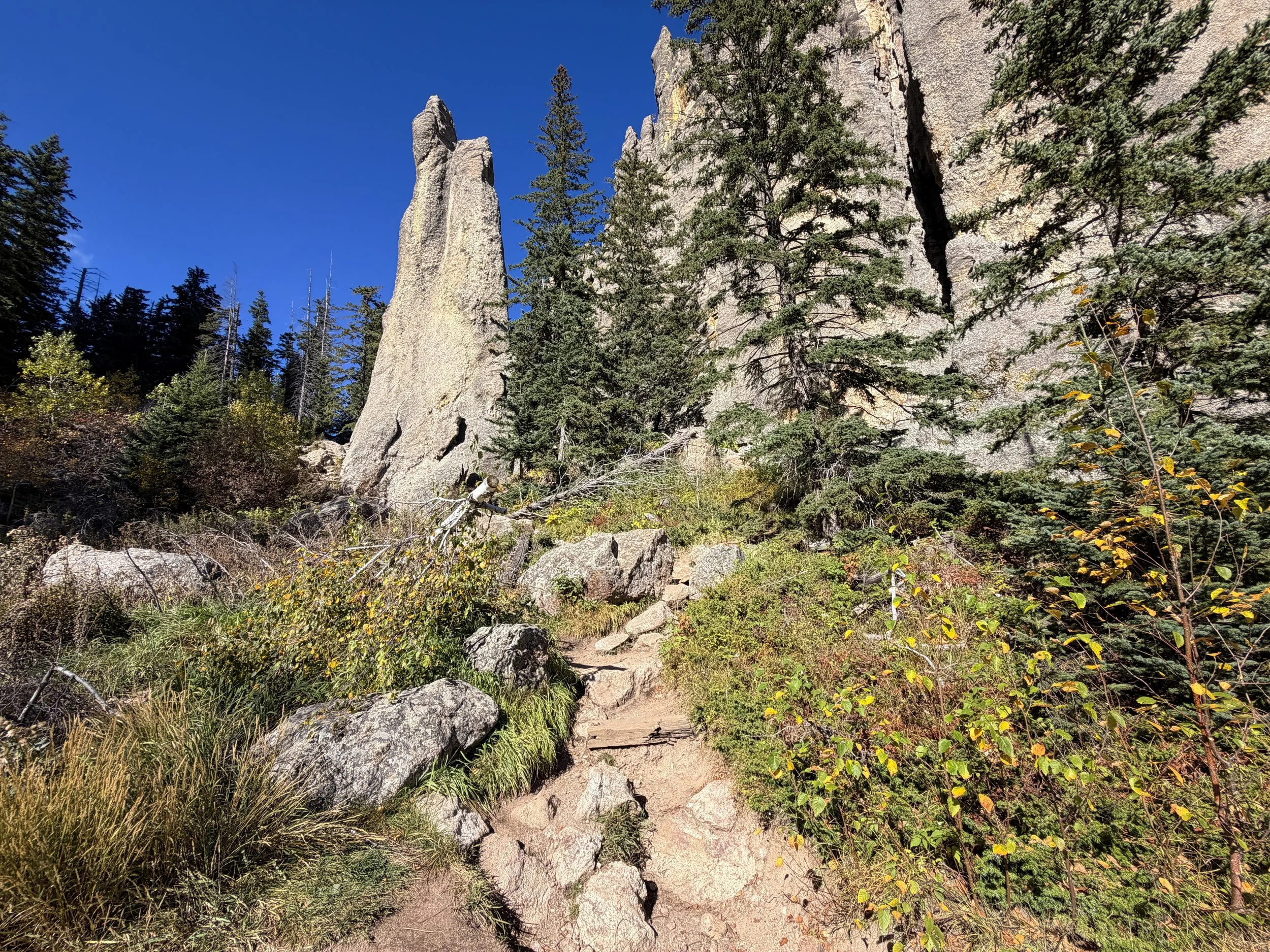 Cathedral Spires Trail Custer State Park Black Hills South Dakota