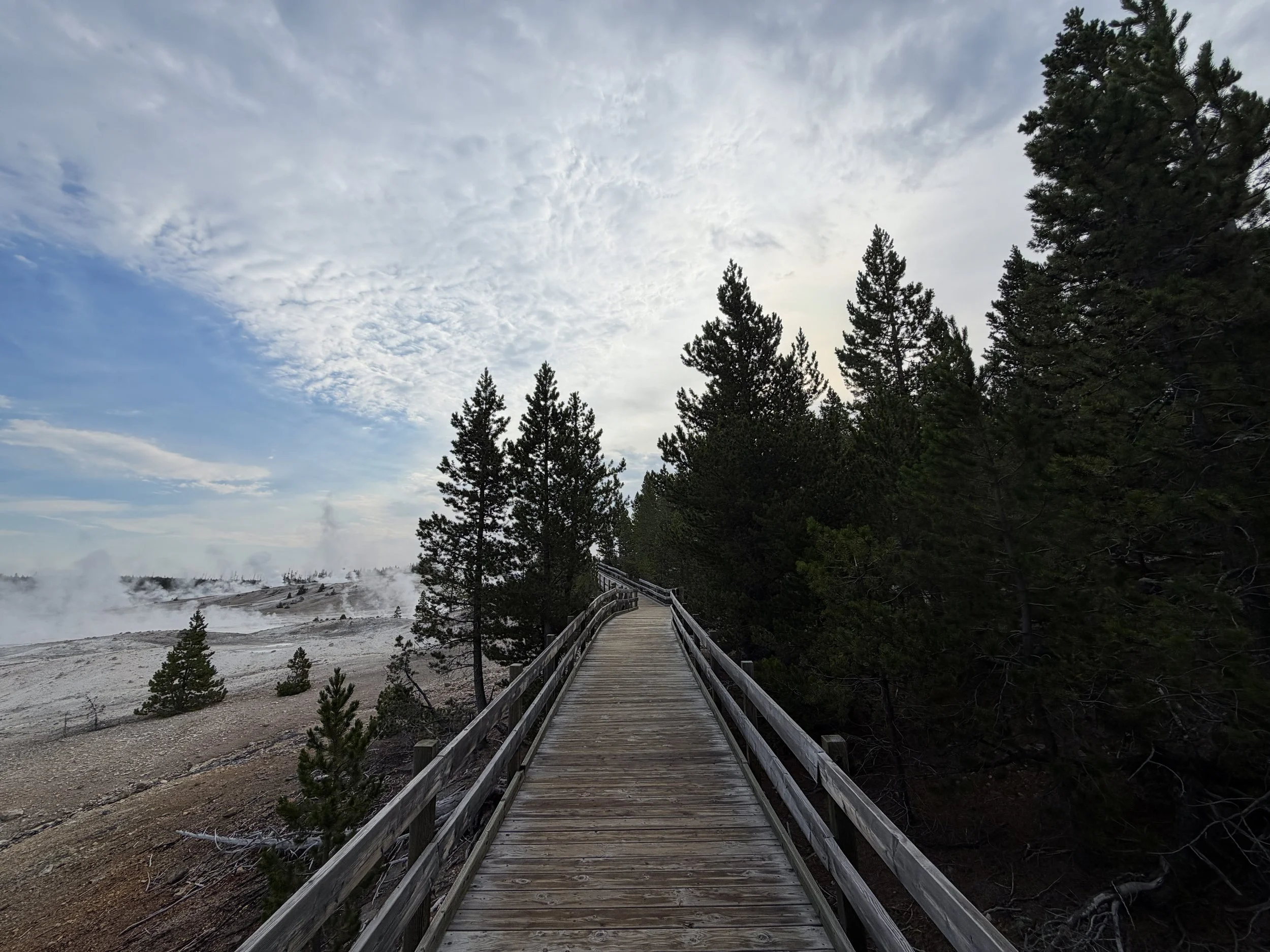 Porcelain Basin Norris Geyser Basin Trail Yellowstone National Park Wyoming