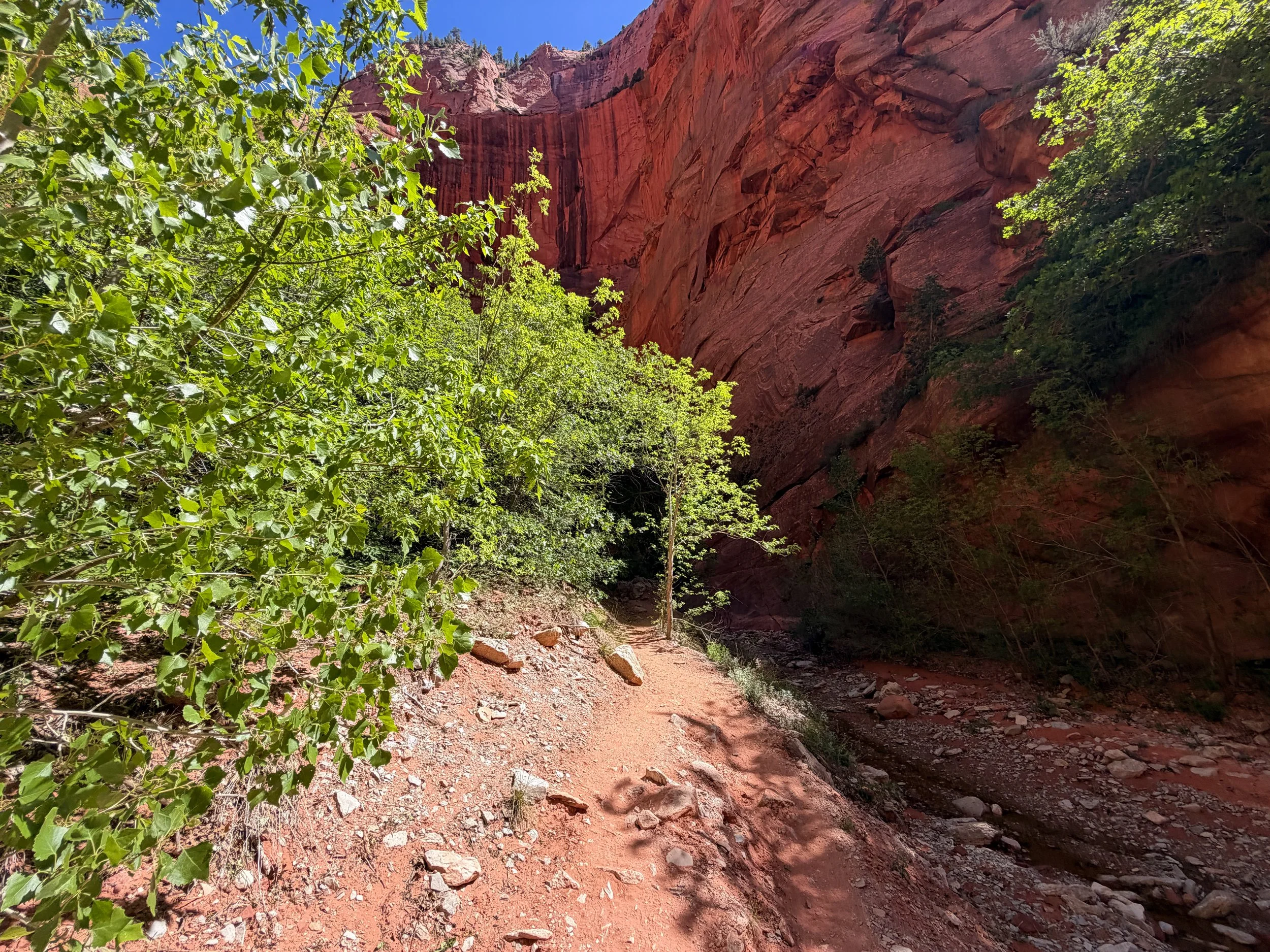 Taylor Creek Trail Zion National Park Utah