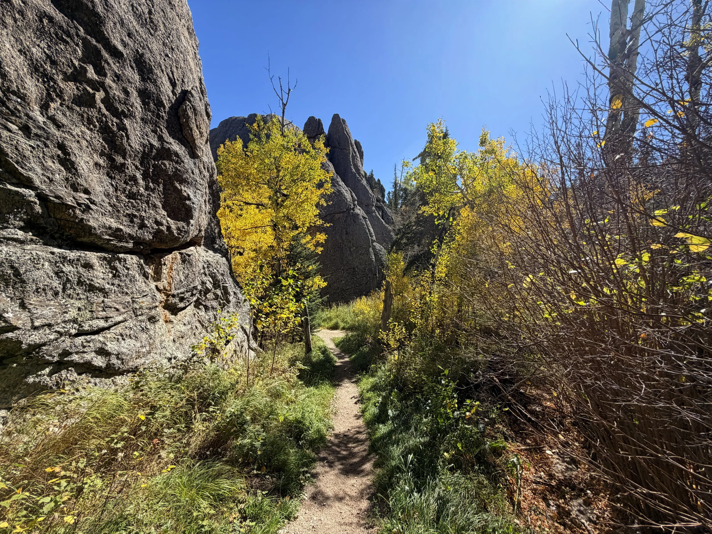 Sunday Gulch Trail Custer State Park Black Hills South Dakota