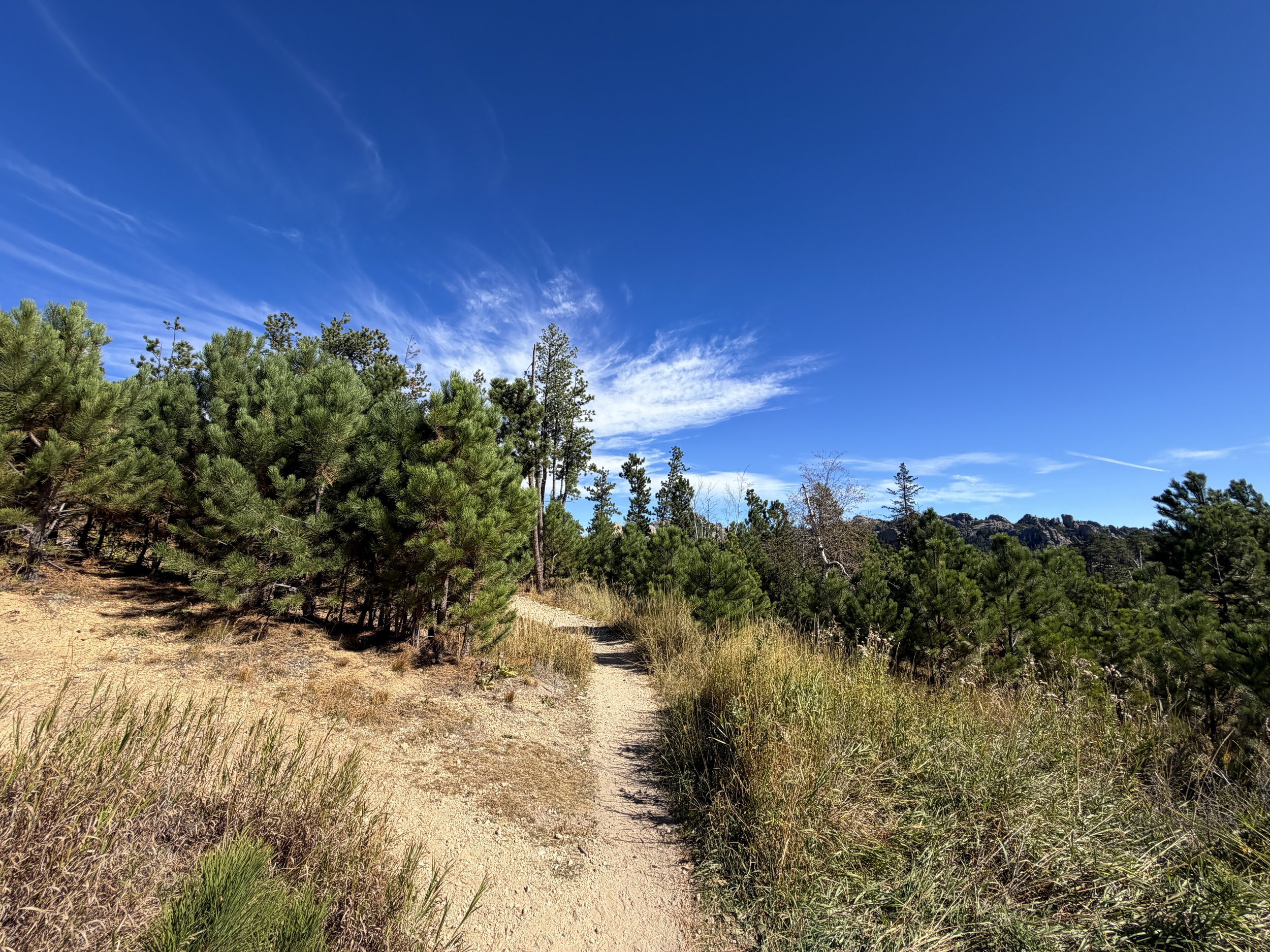Sunday Gulch Trail Custer State Park Black Hills South Dakota