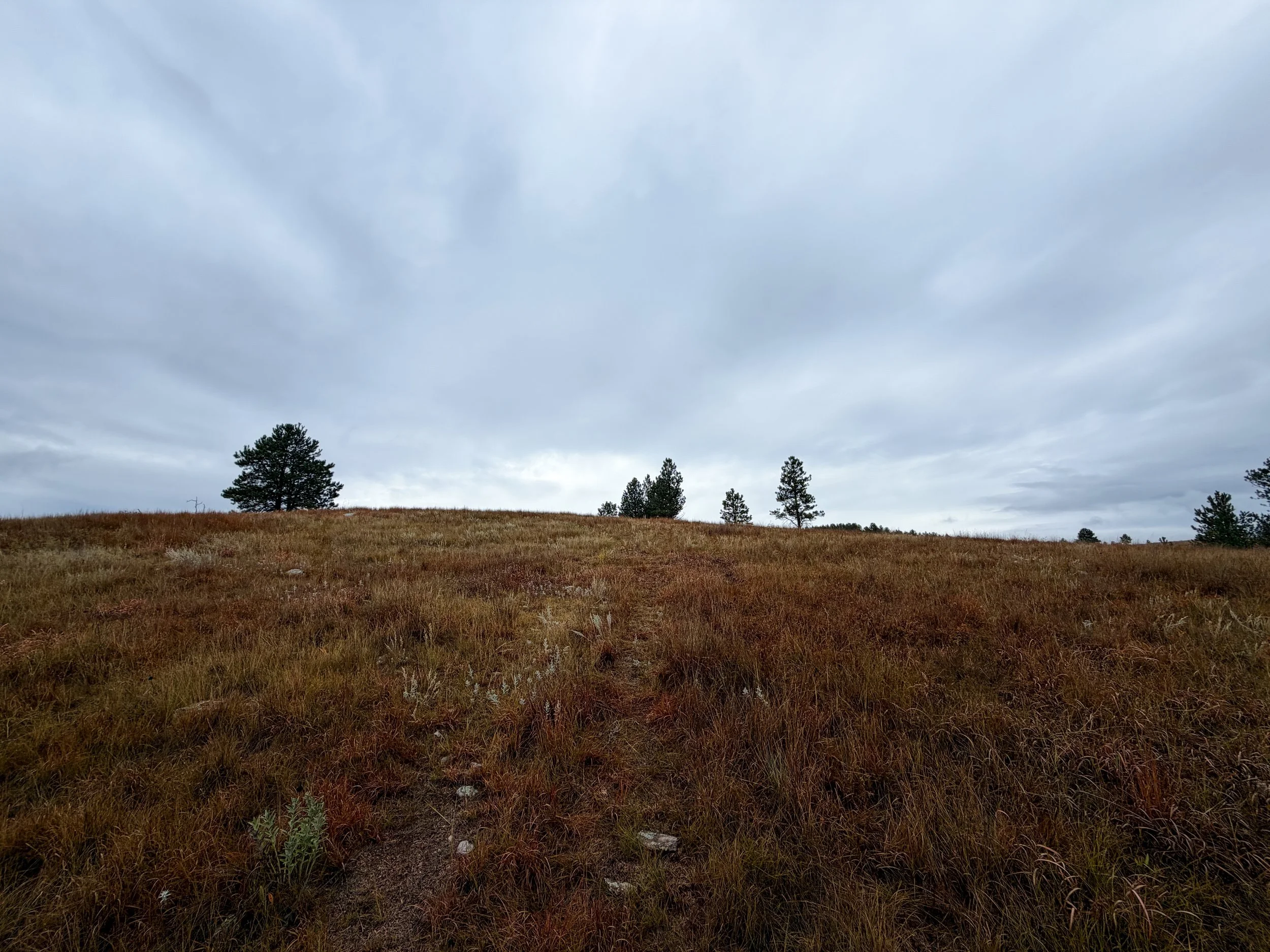 Highland Creek Trail to Wind Cave Canyon Wind Cave National Park South Dakota
