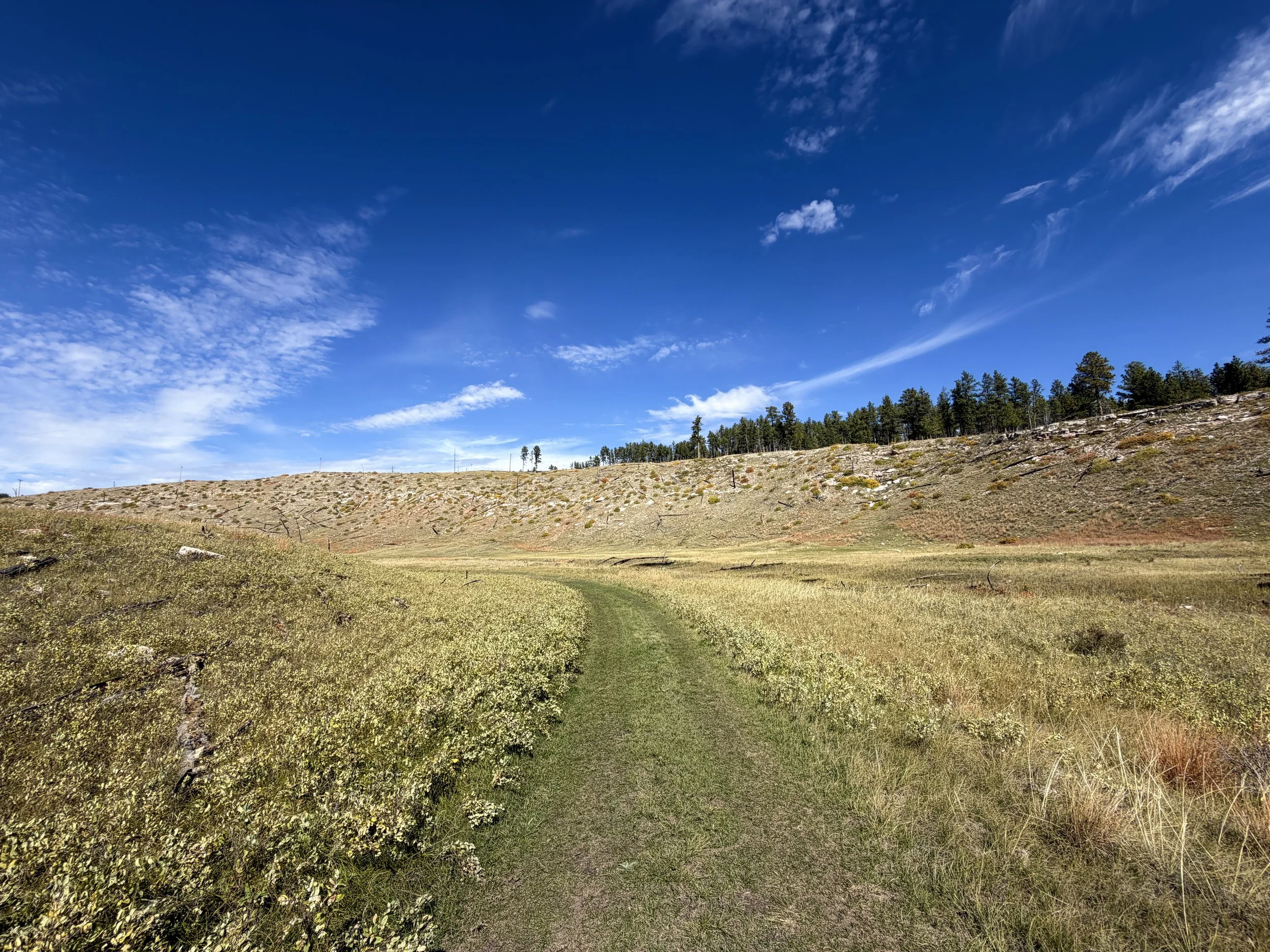Canyons Loop Hike Jewel Cave National Monument Black Hills South Dakota
