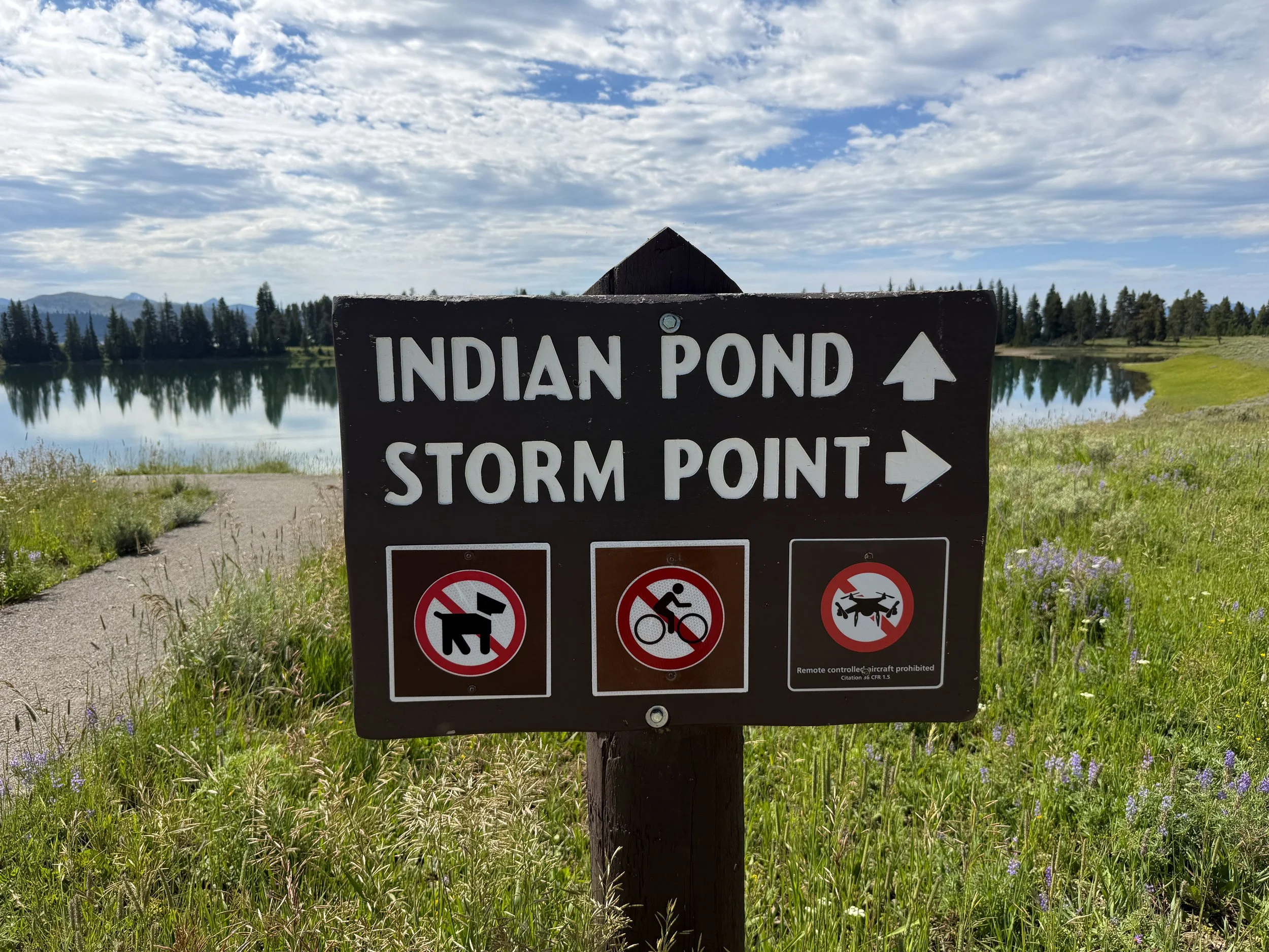 Storm Point Trailhead Yellowstone National Park Wyoming