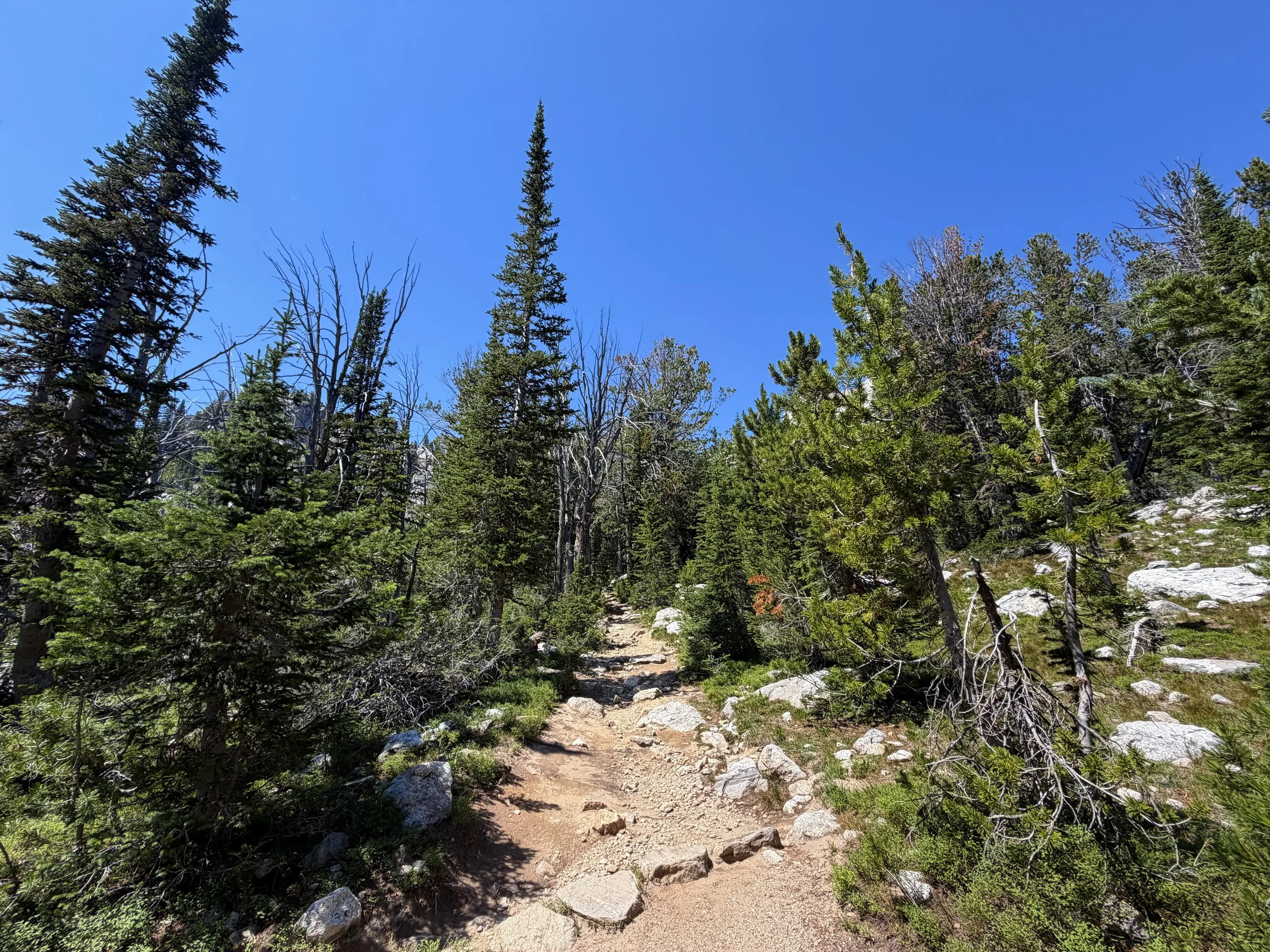 Surprise & Amphitheater Lakes Trail Grand Teton National Park Wyoming