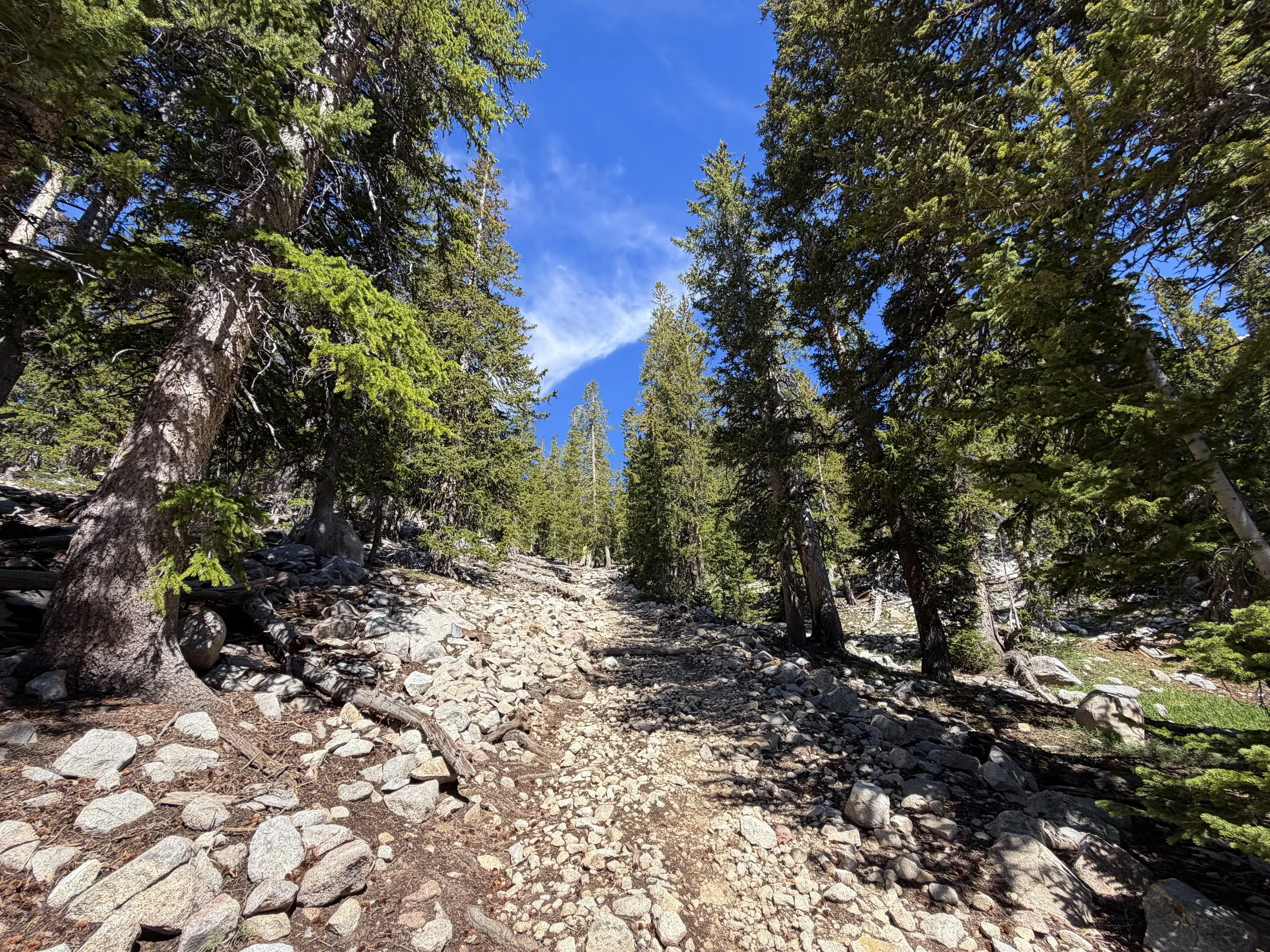 Johnson Lake Trail Great Basin National Park Nevada