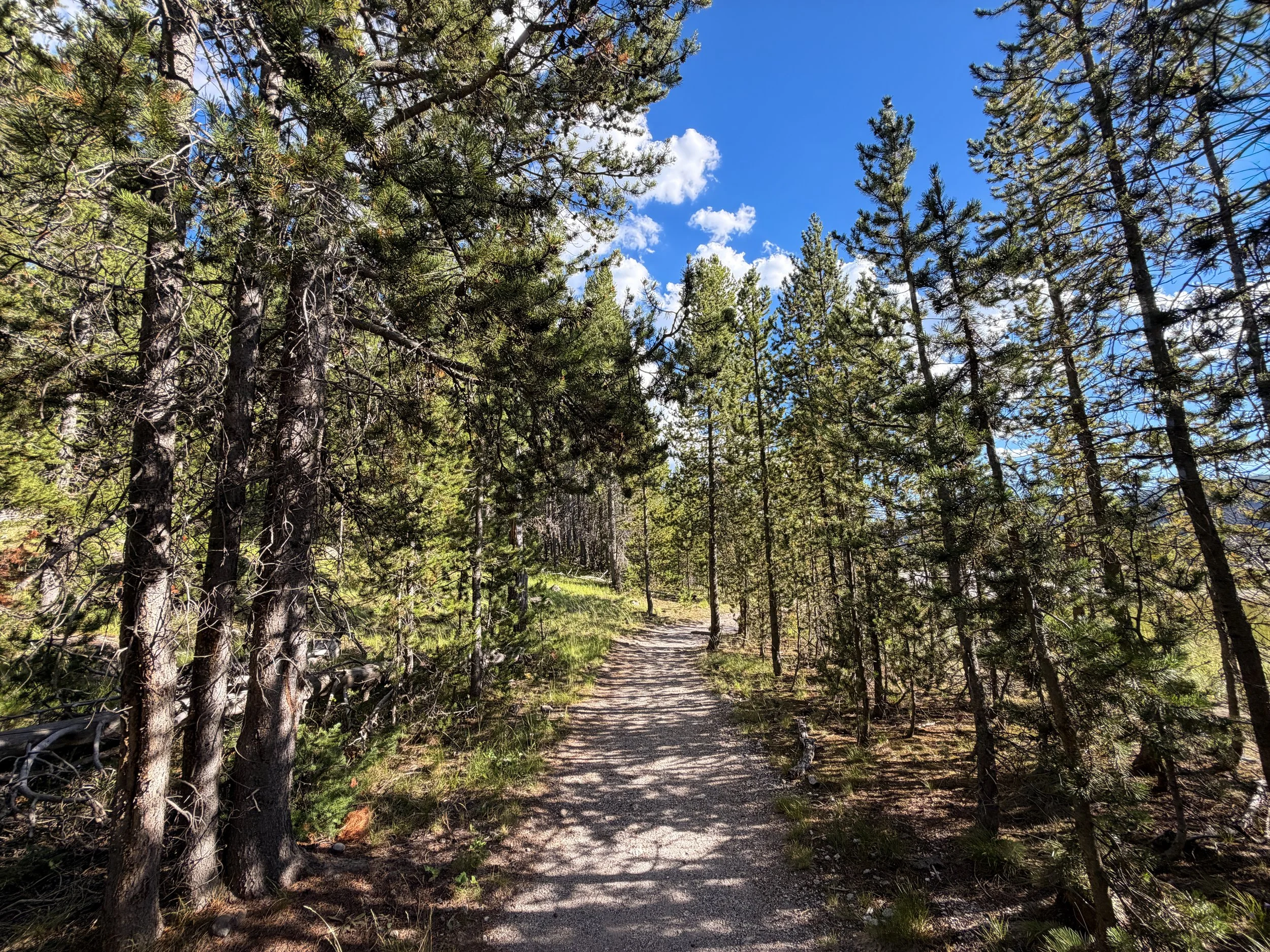 Artemisia Trail to Morning Glory Pool Yellowstone National Park Wyoming