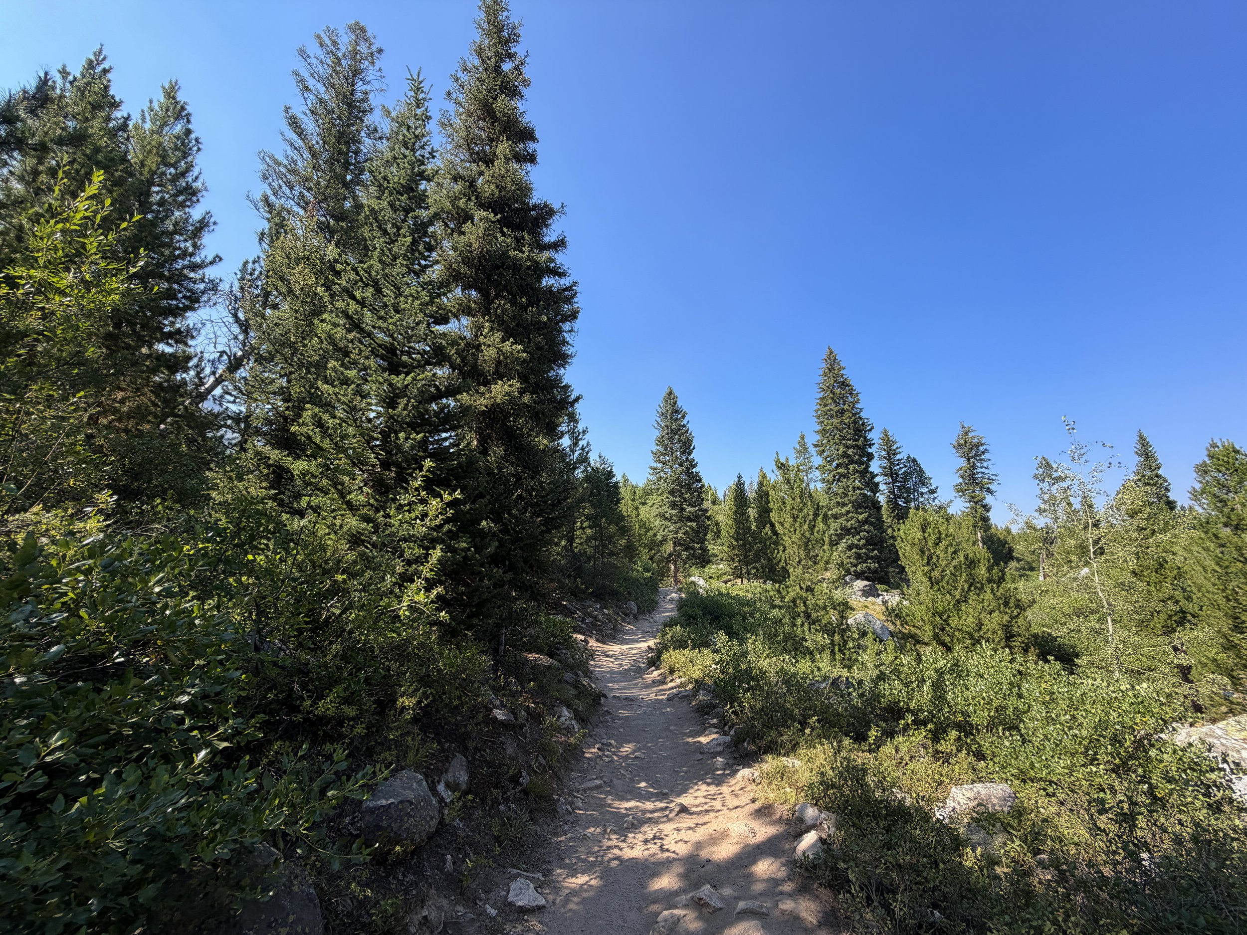 Jenny Lake Loop Hike Grand Teton National Park Wyoming