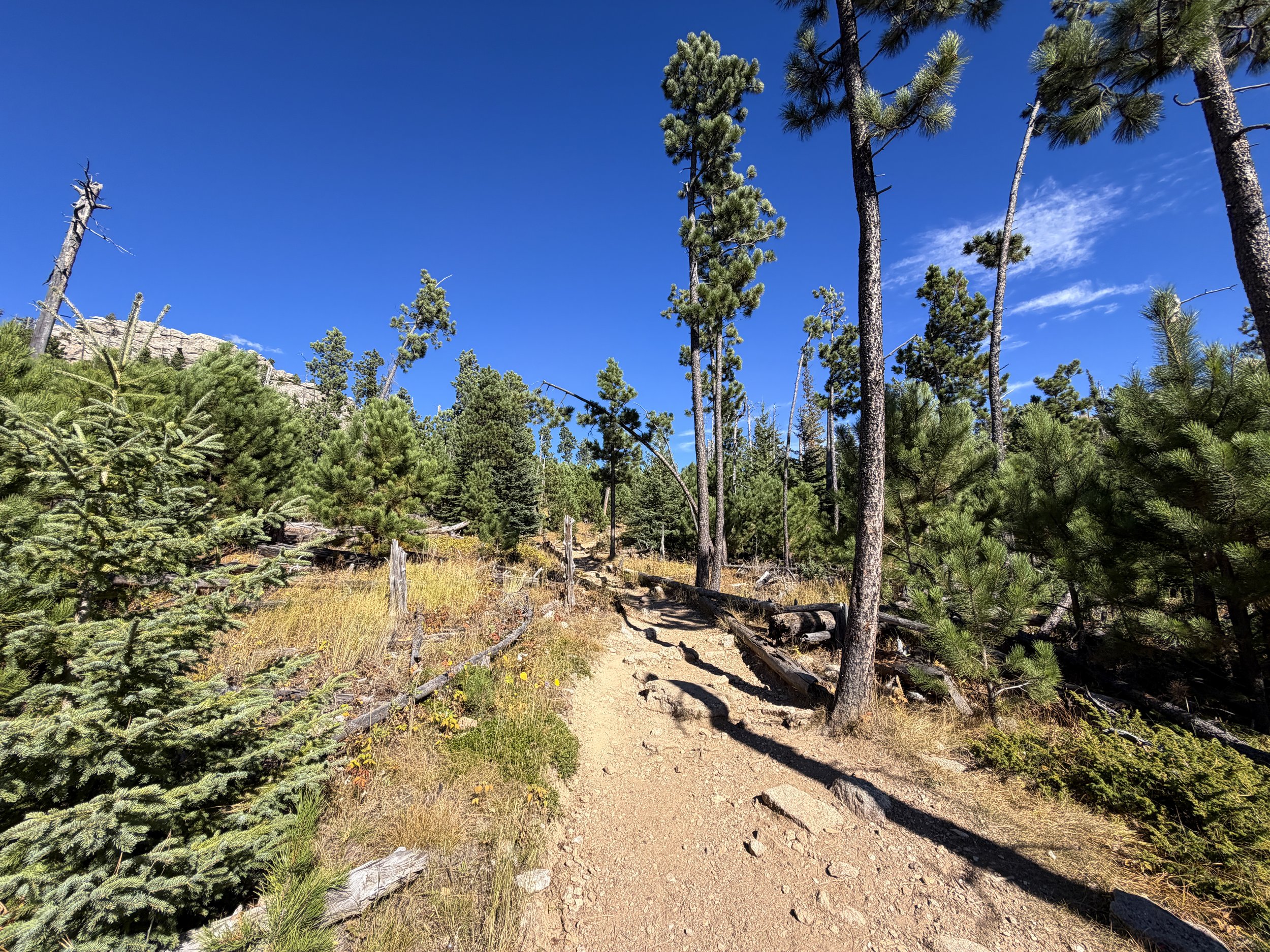 Black Elk Peak Trail to Harney Peak Lookout Black Hills South Dakota