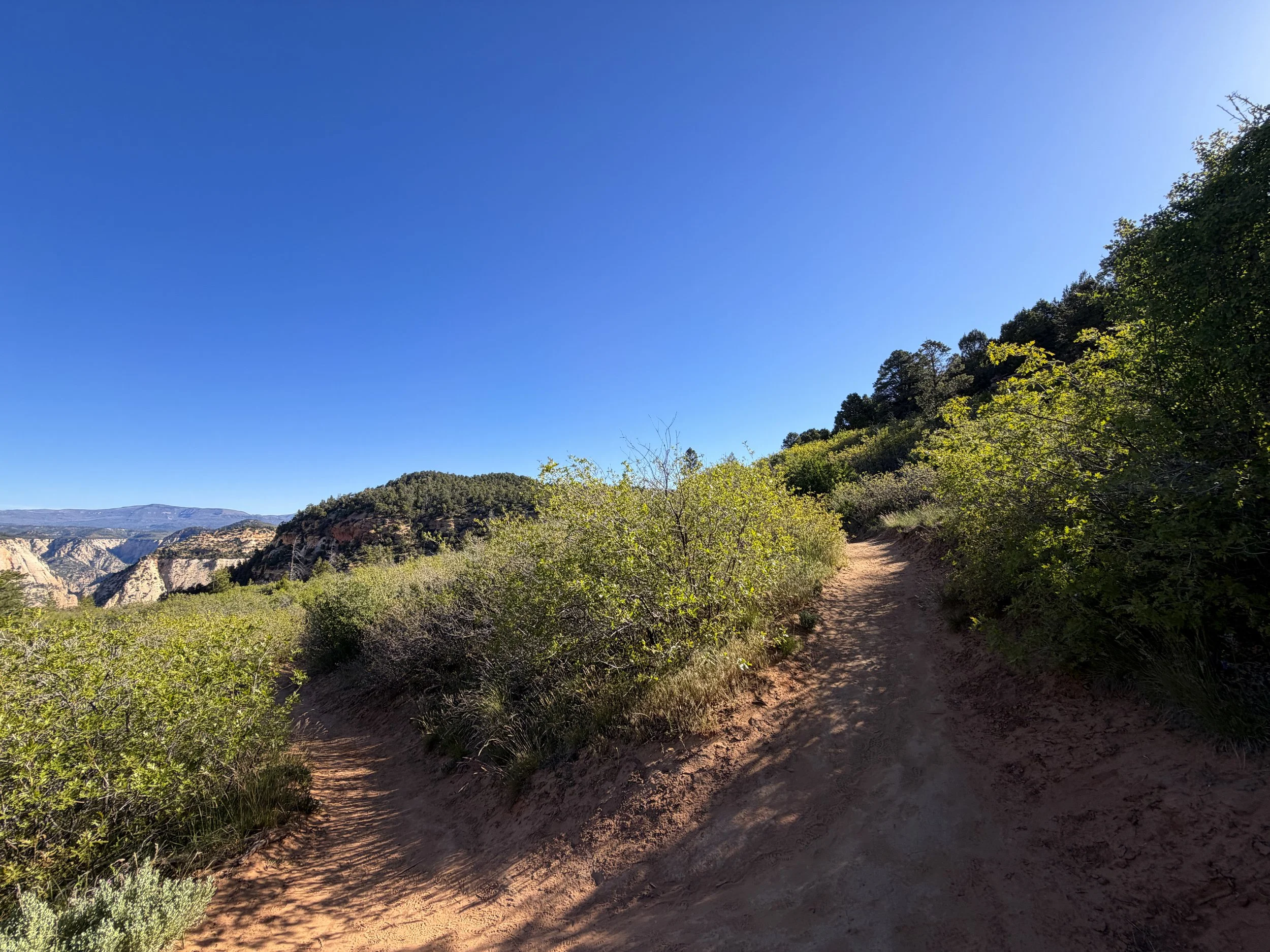 East Mesa Trail to Observation Point Trail Zion National Park Utah