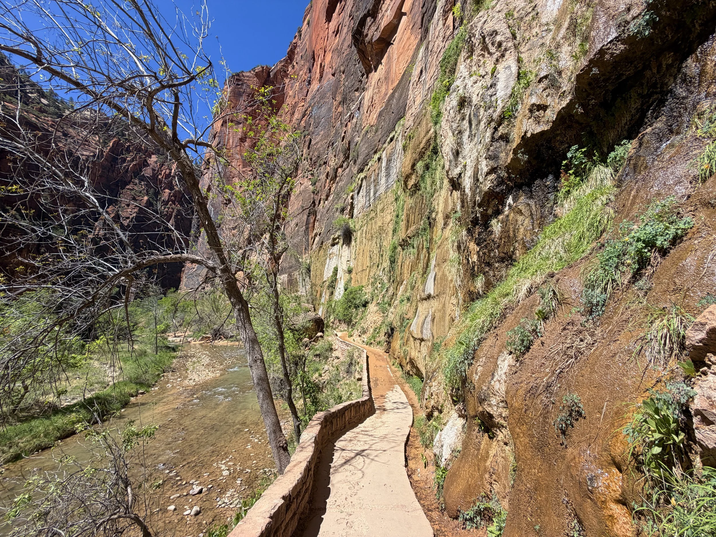 Riverside Walk to the Narrows Zion National Park Utah