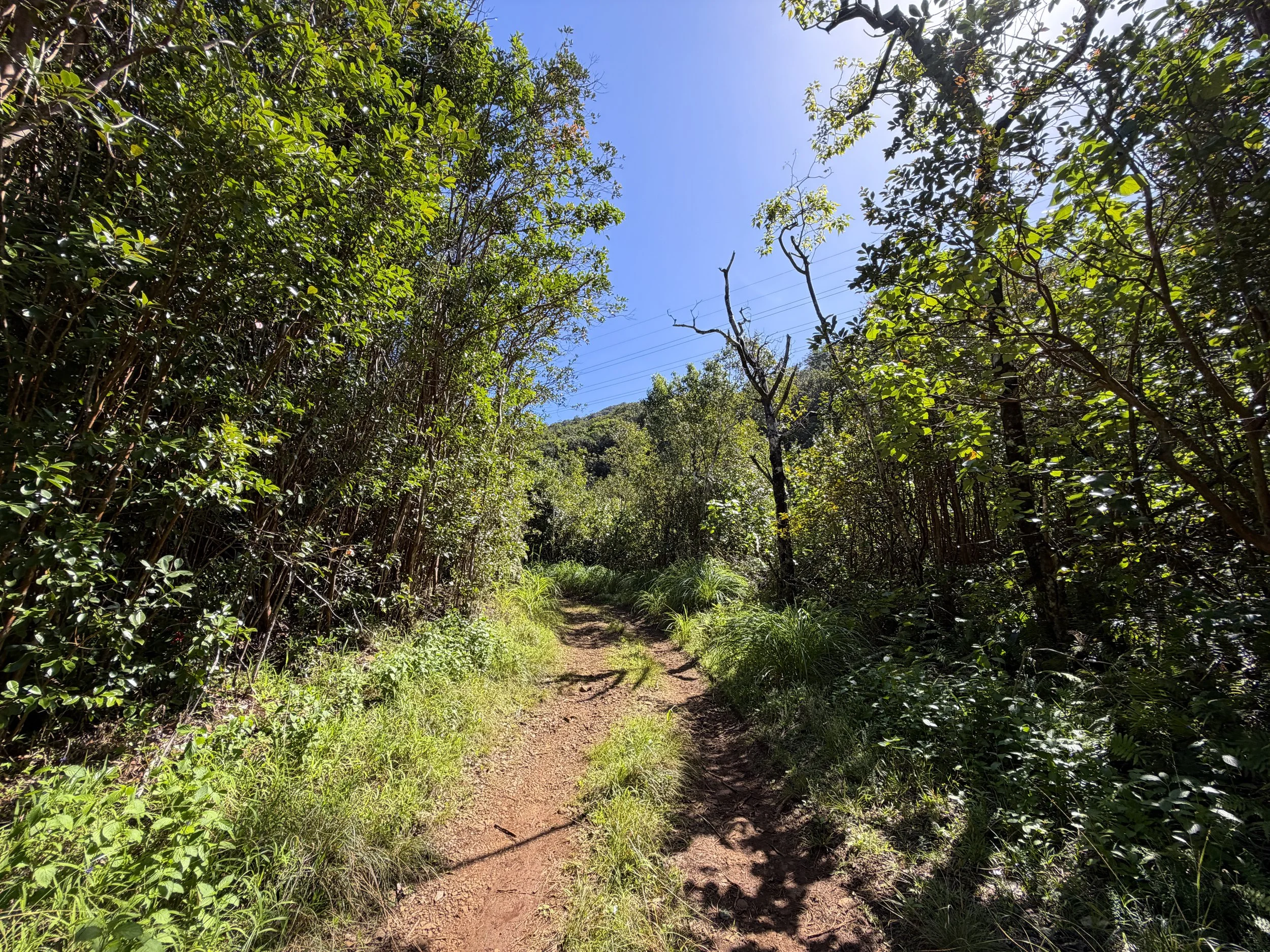 Kulanaahane Trail Oahu Hawaii