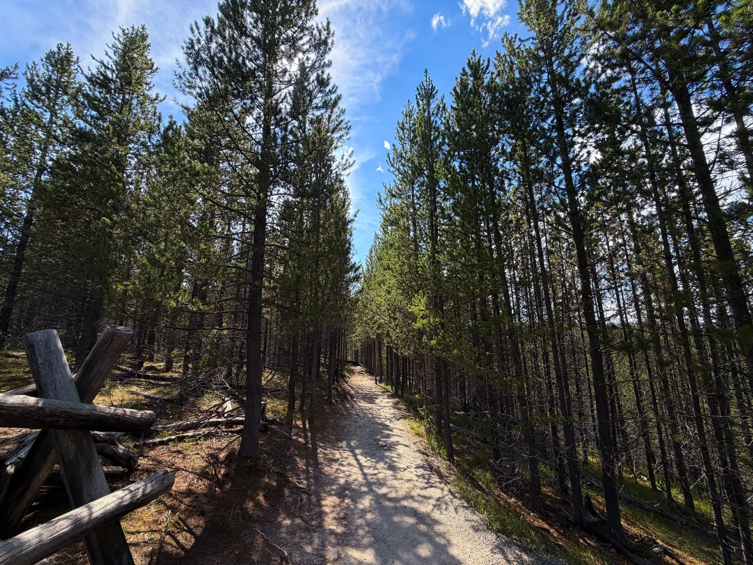 Artists Paintpots Trail Yellowstone National Park Wyoming
