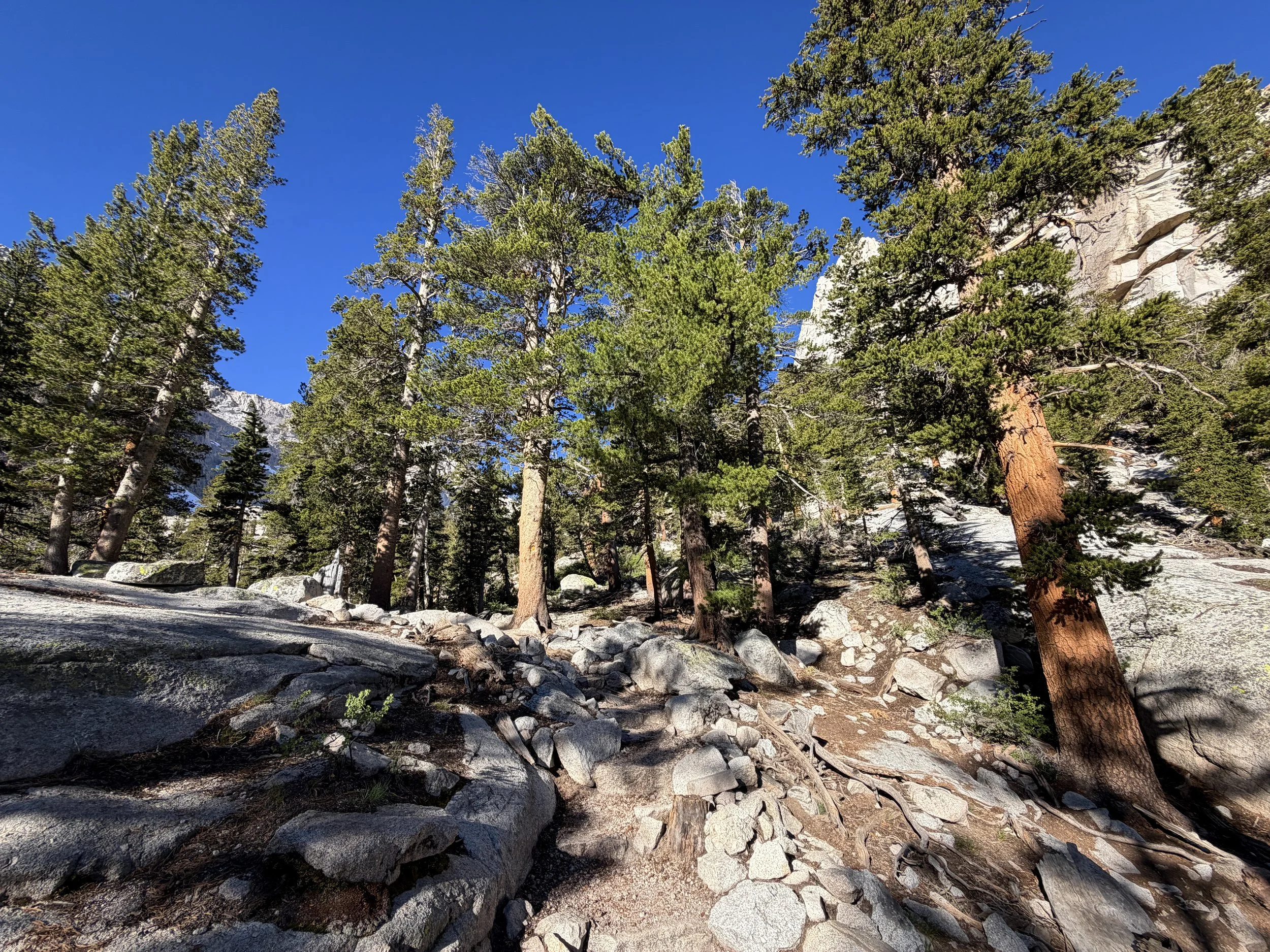 Mt. Whitney Trail via Whitney Portal California