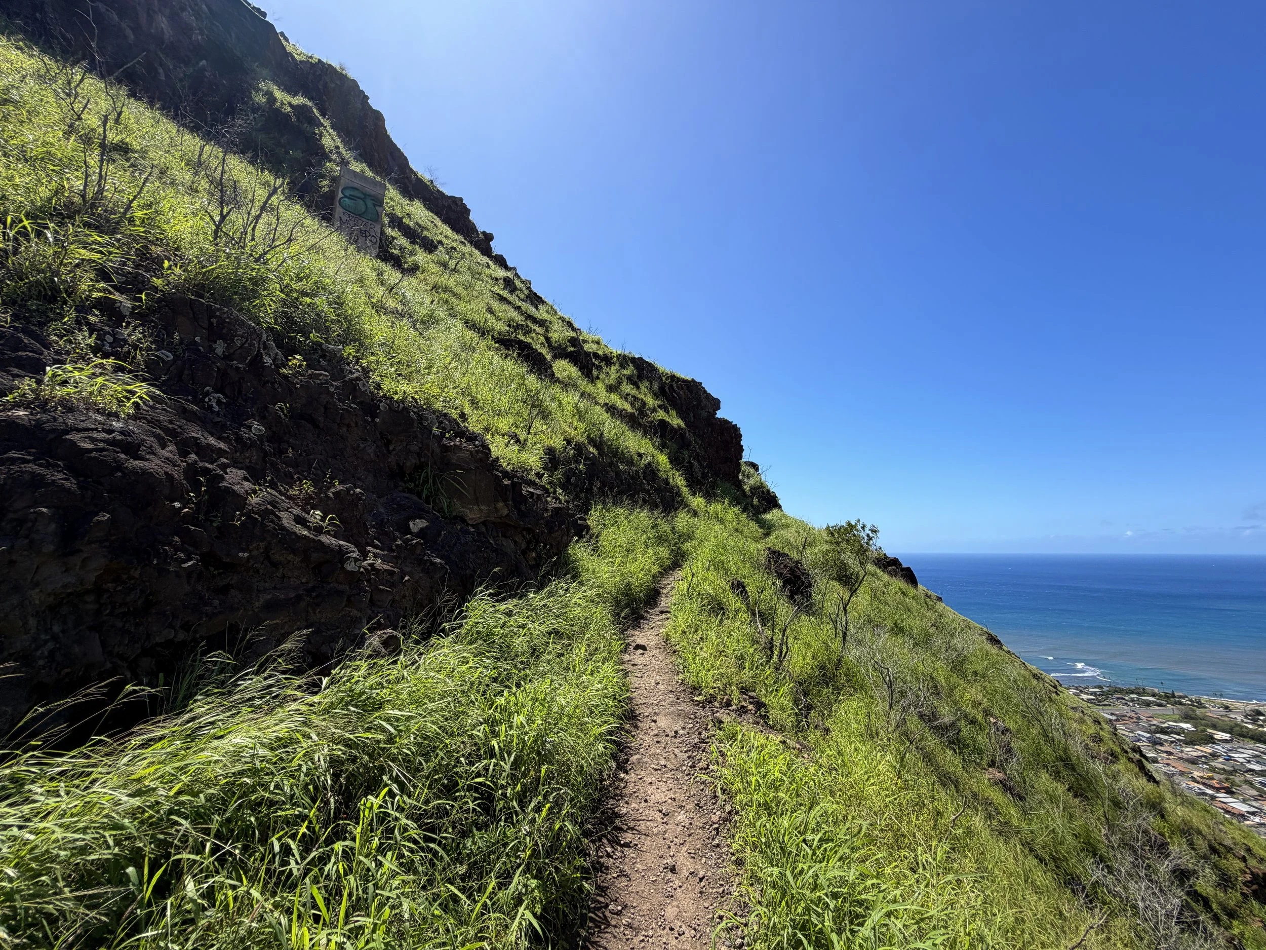 Puu O Hulu Trail to Pink Pillbox Oahu Hawaii
