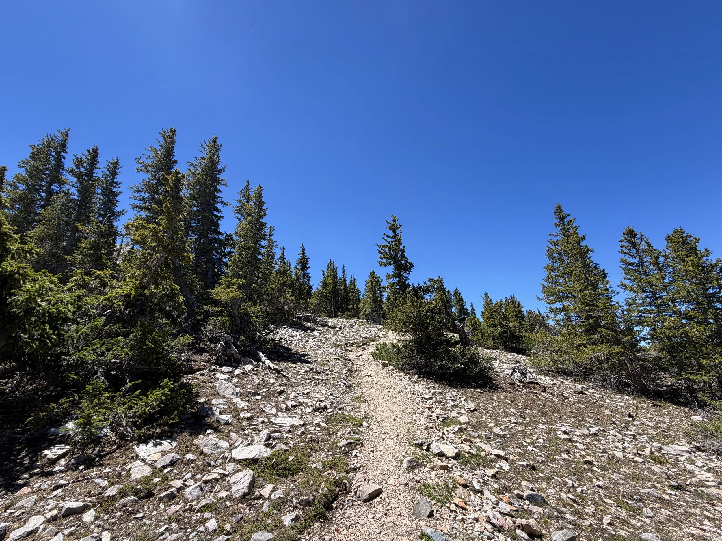 Wheeler Peak Summit Trail Great Basin National Park Nevada