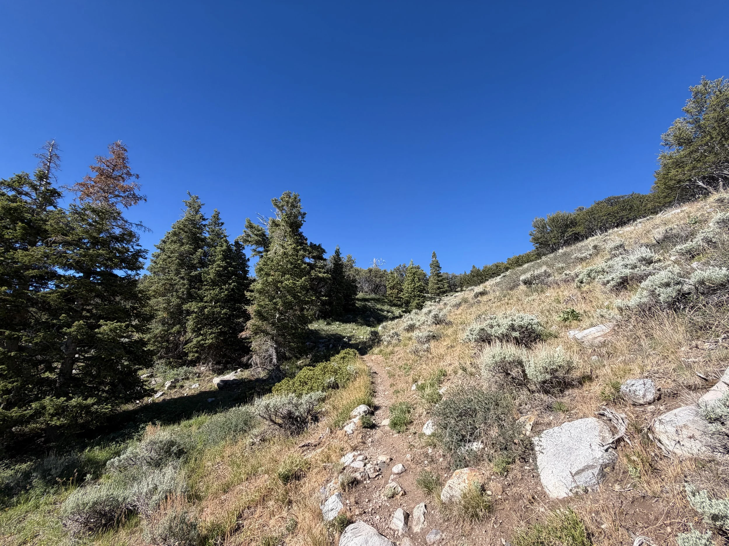 Baker Lake Hike Great Basin National Park Nevada