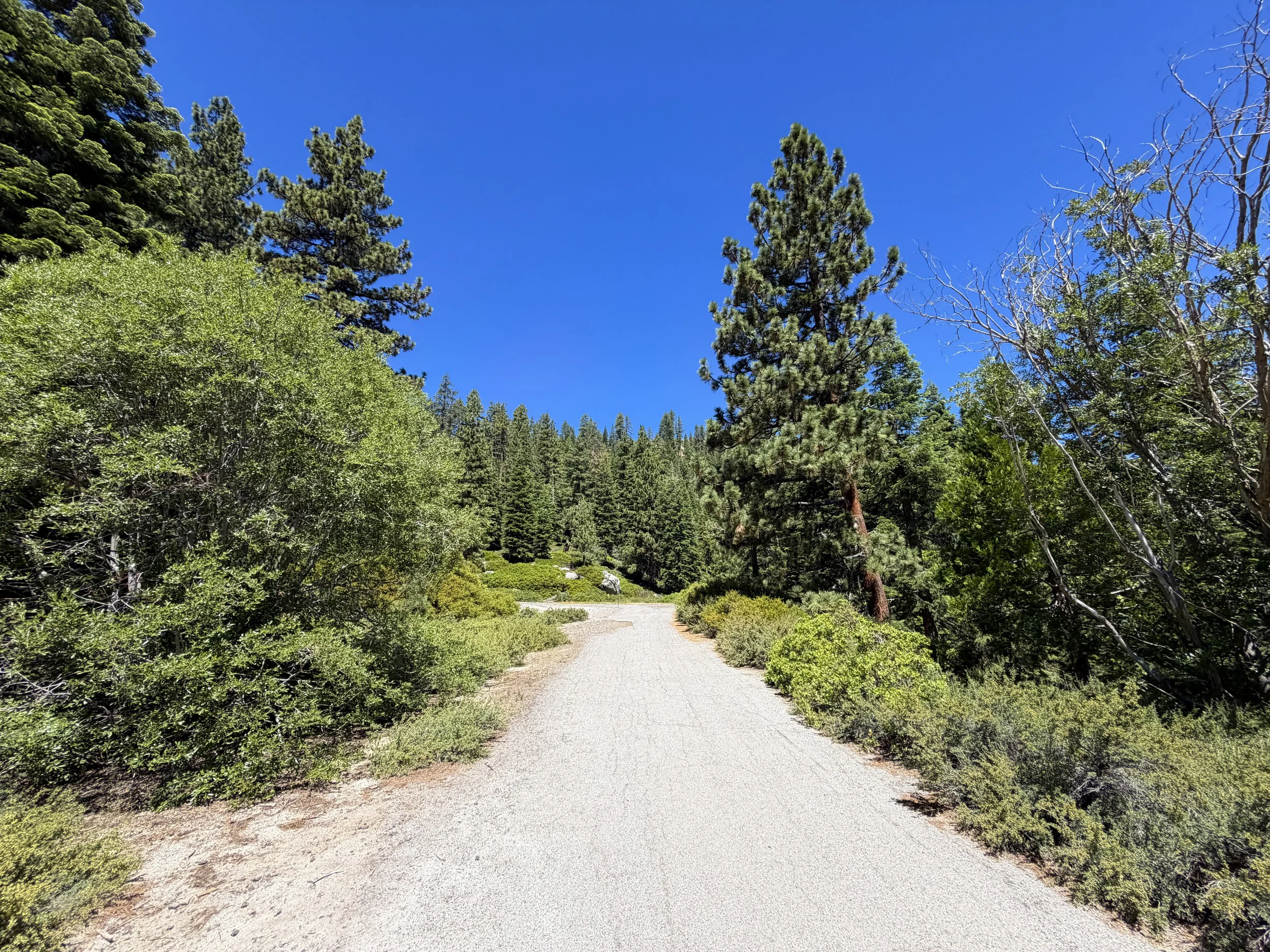 Stateline Lookout Trail Lake Tahoe Nevada