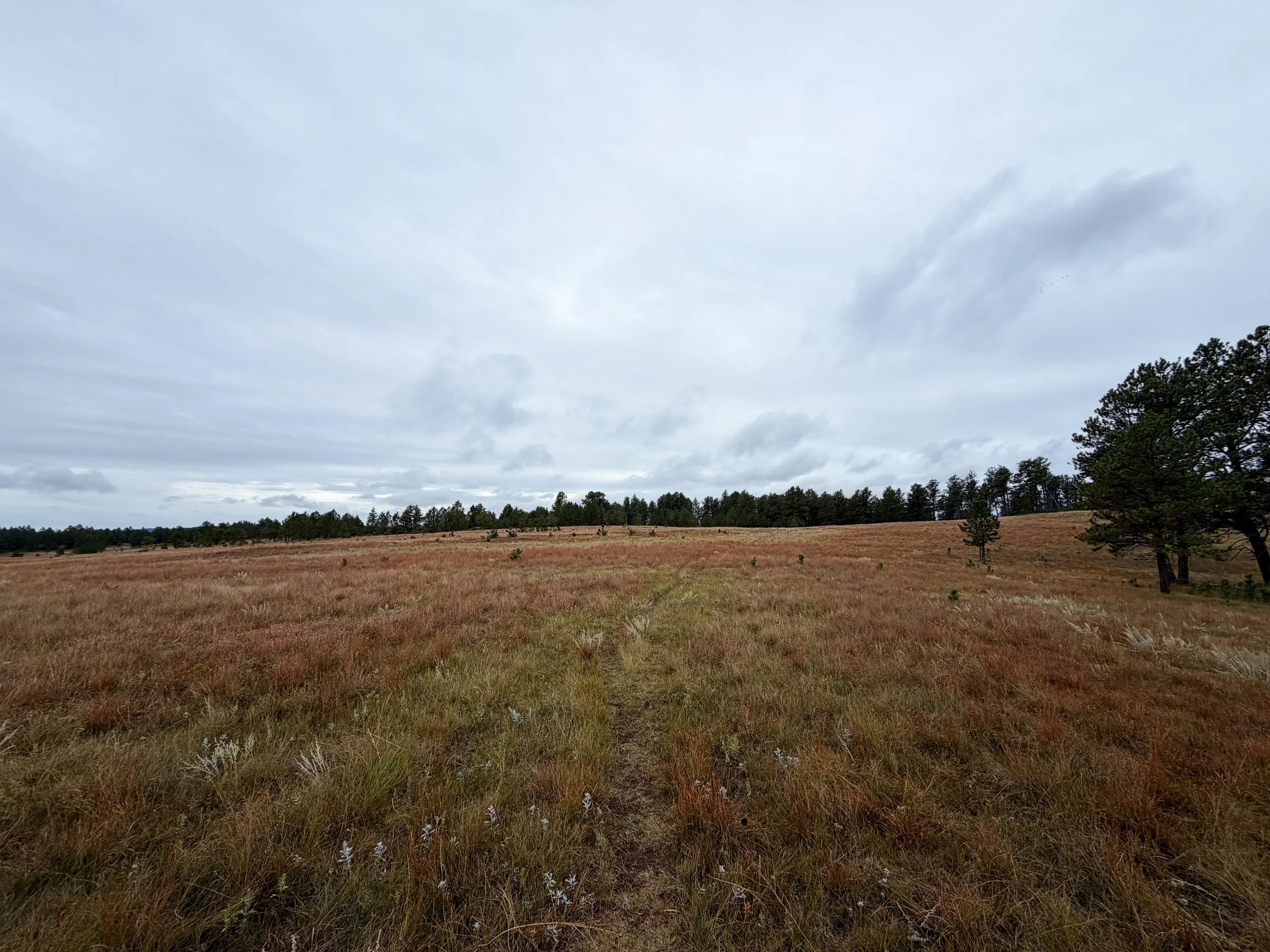 Highland Creek Hike Wind Cave National Park South Dakota