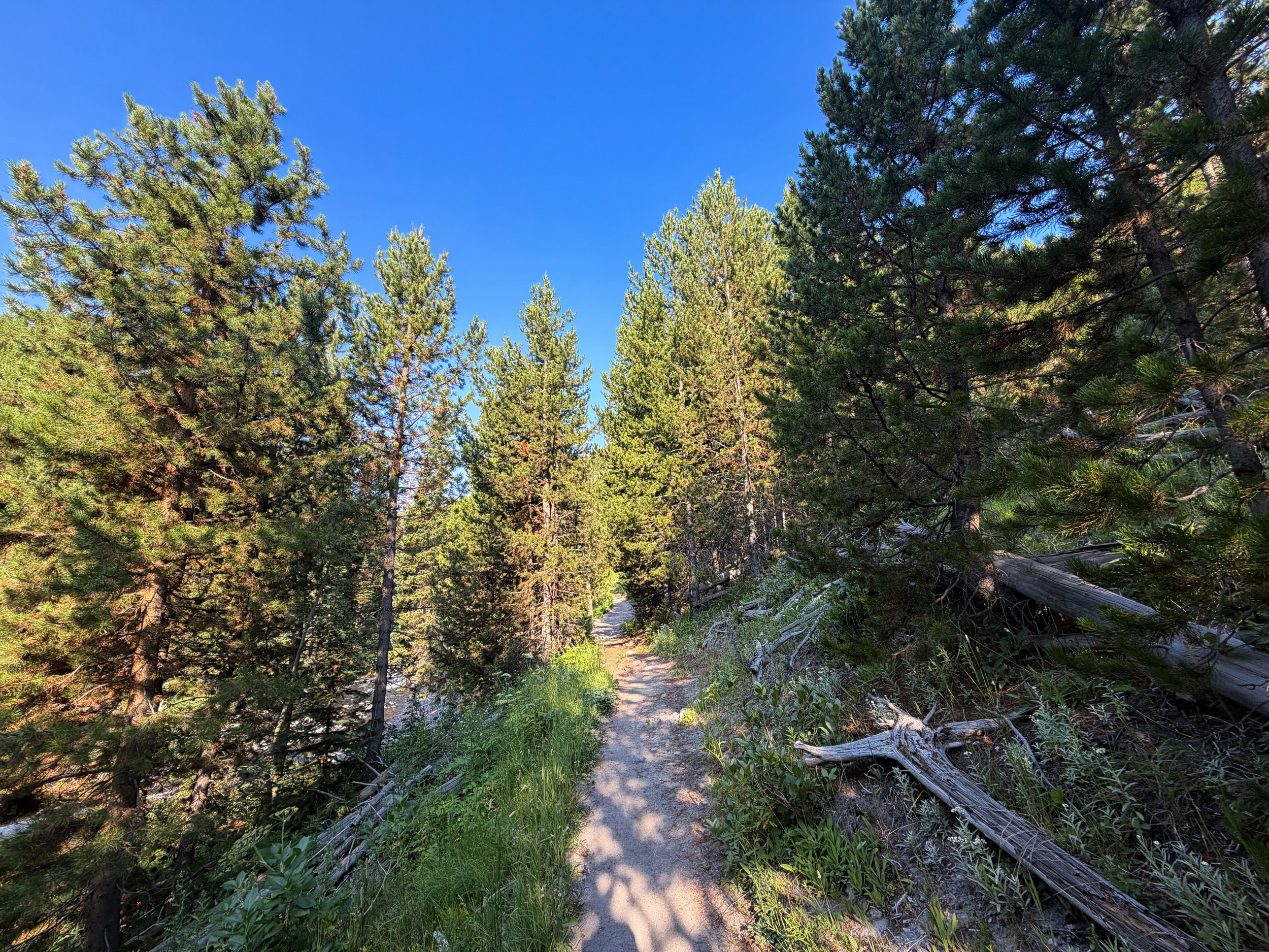 Mystic Falls Loop Trail Yellowstone National Park Wyoming