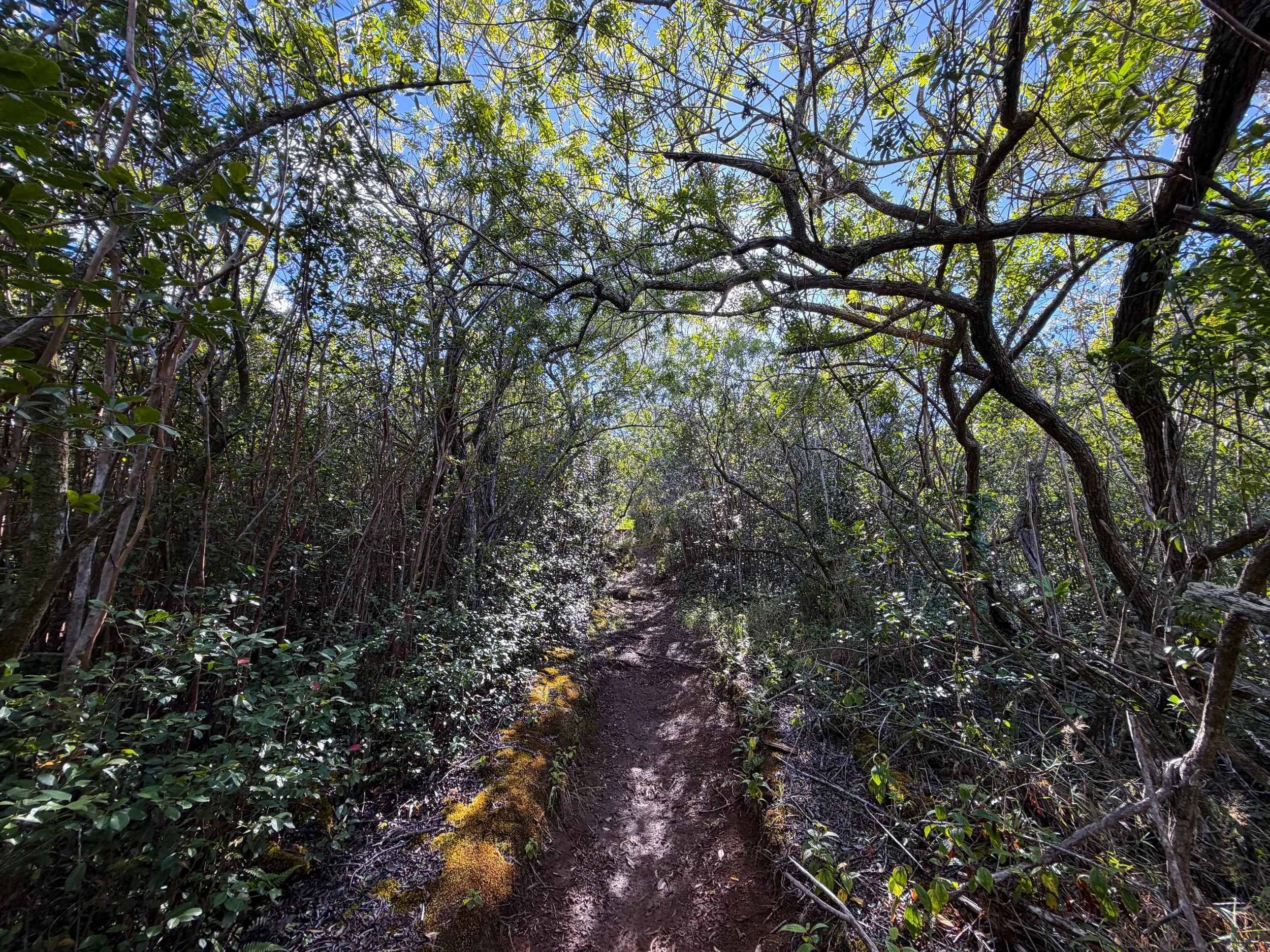 Mokuleia Trail Oahu Hawaii