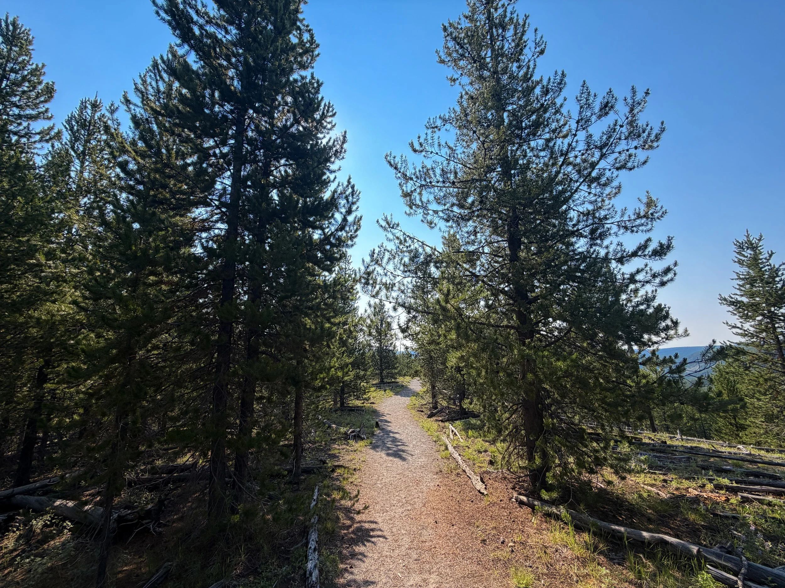 Mystic Falls Loop Trail Yellowstone National Park Wyoming