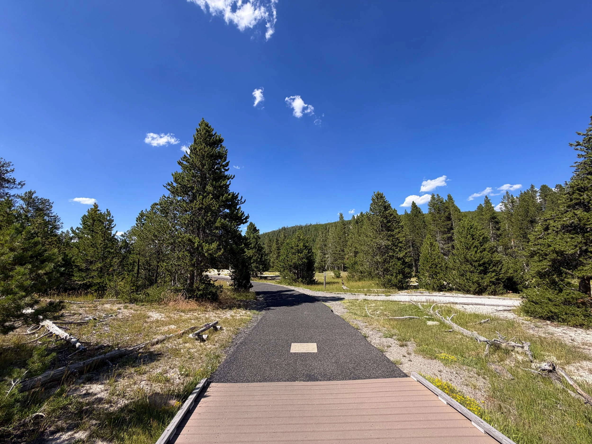 Upper Geyser Hill Trail Yellowstone National Park Wyoming