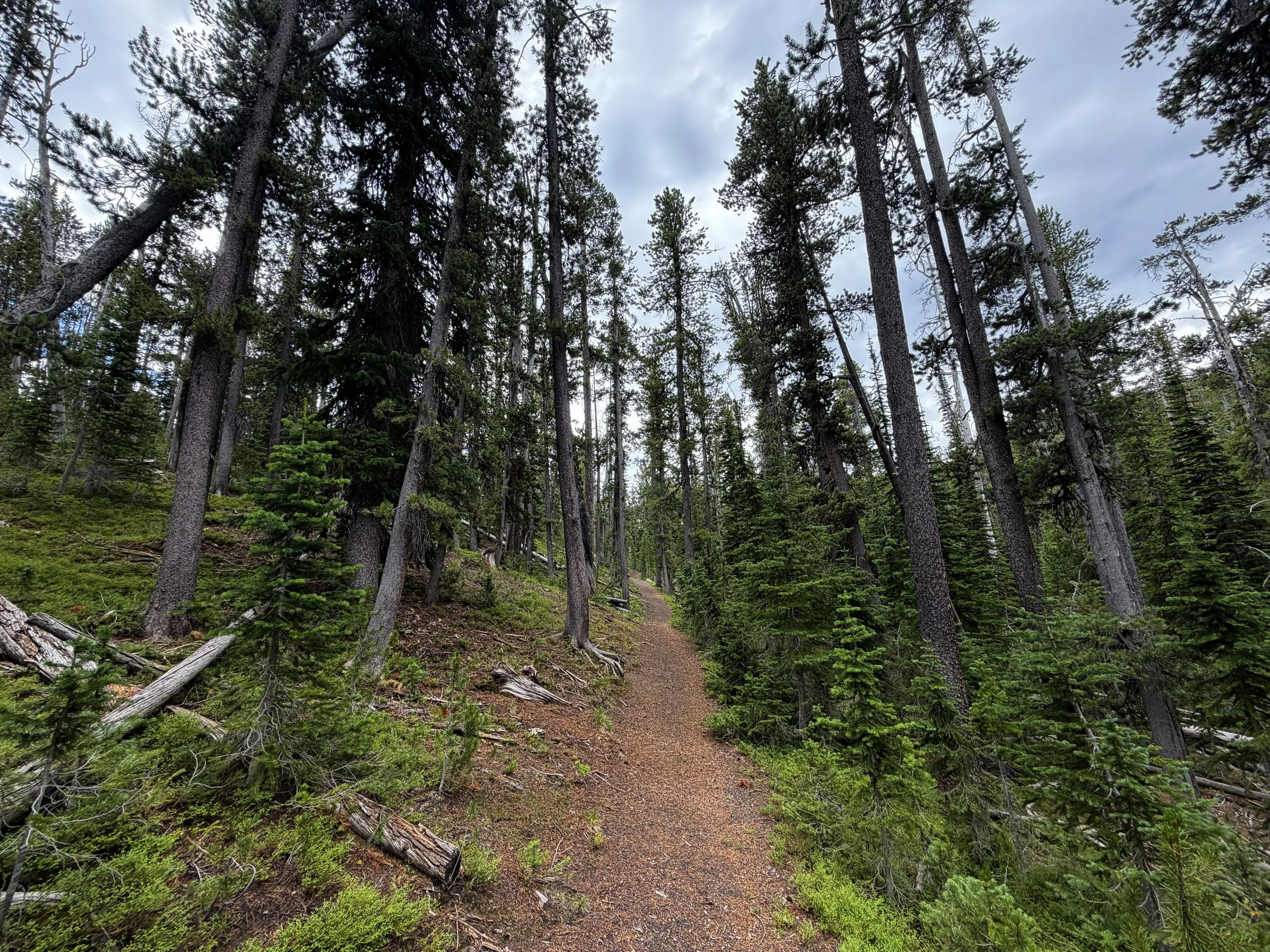 Divide Hike Yellowstone National Park Wyoming