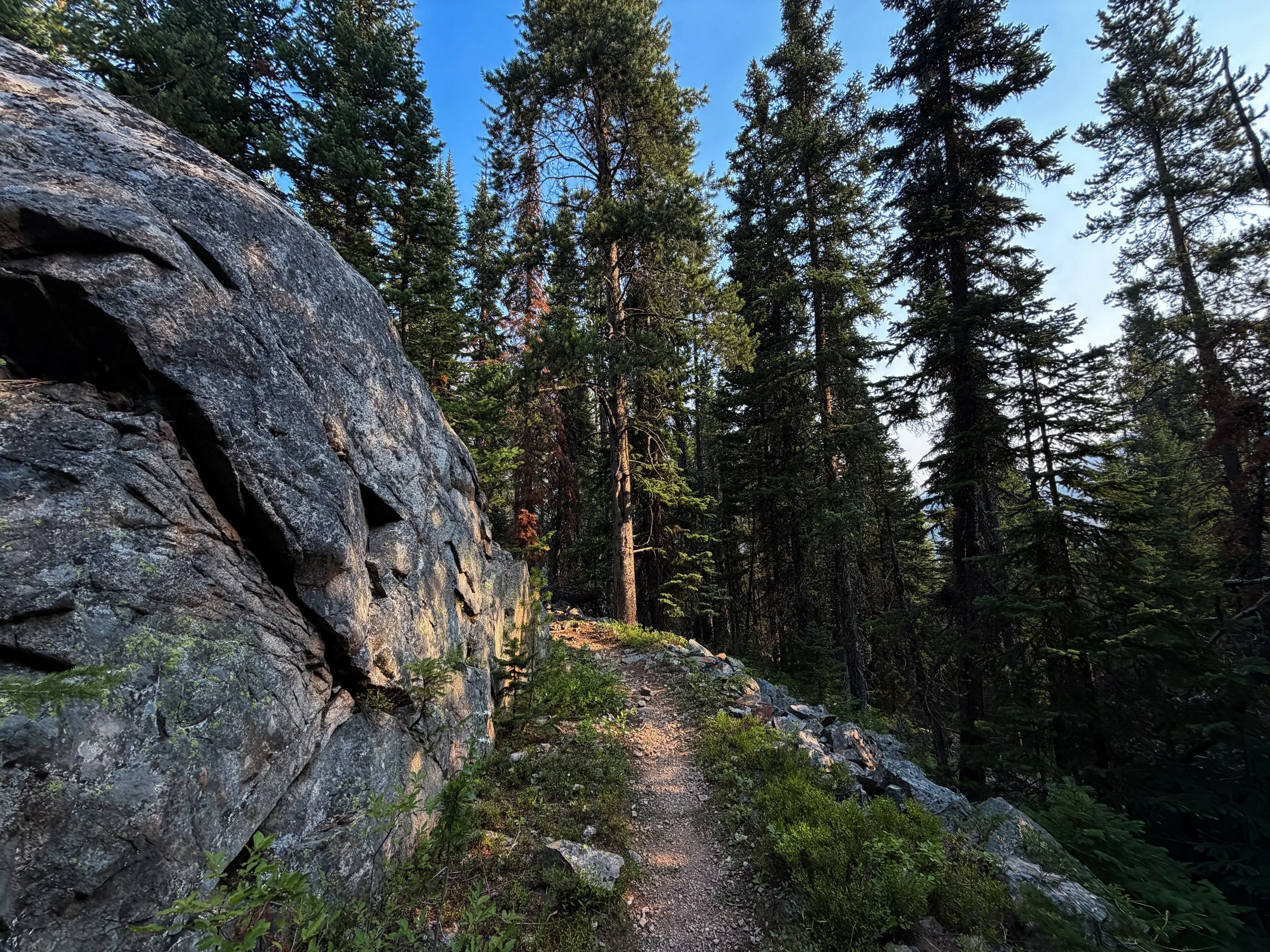 Beaten Path Trail Beartooth Mountains Montana