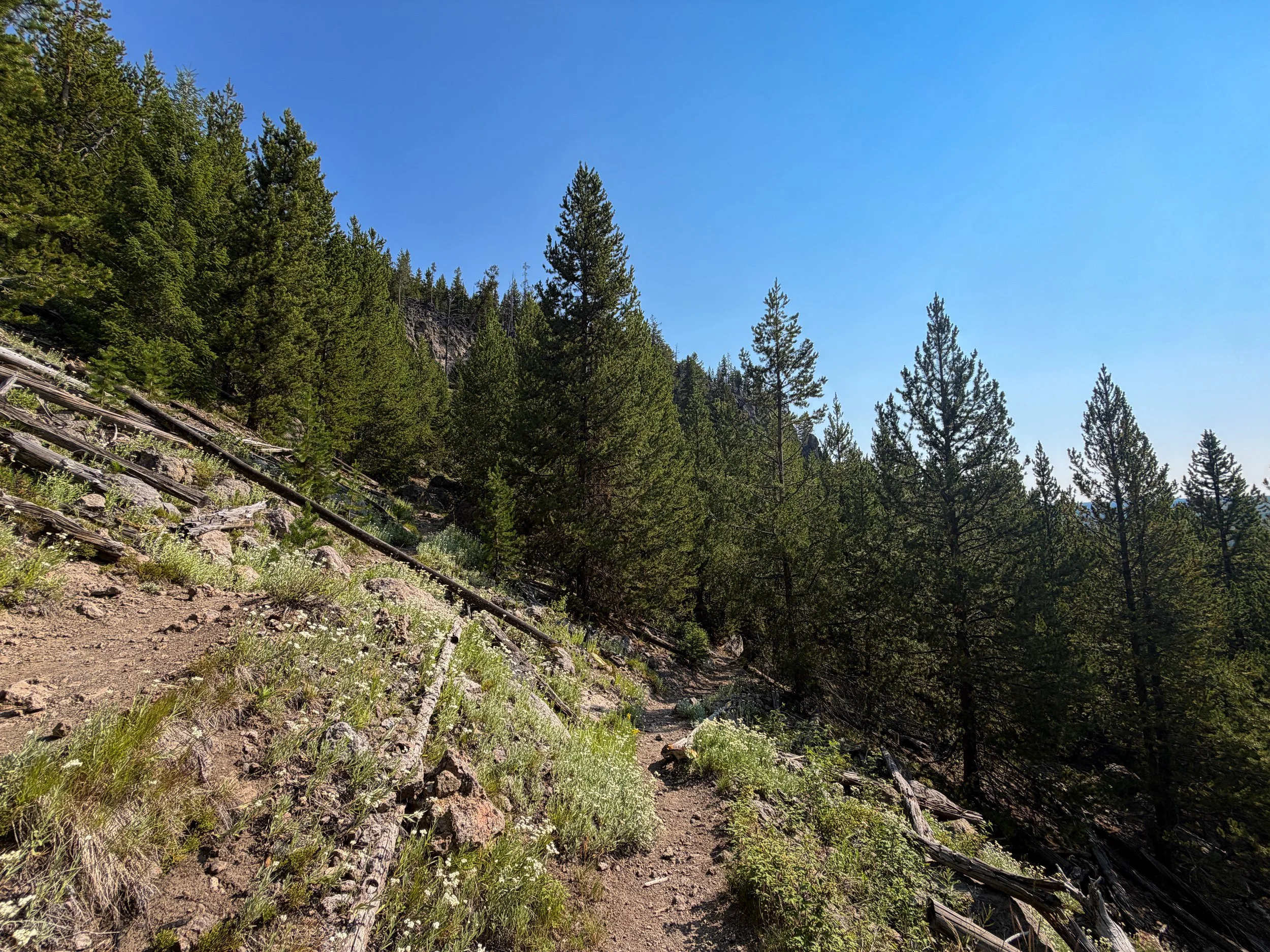 Mystic Falls Trail Yellowstone National Park Wyoming