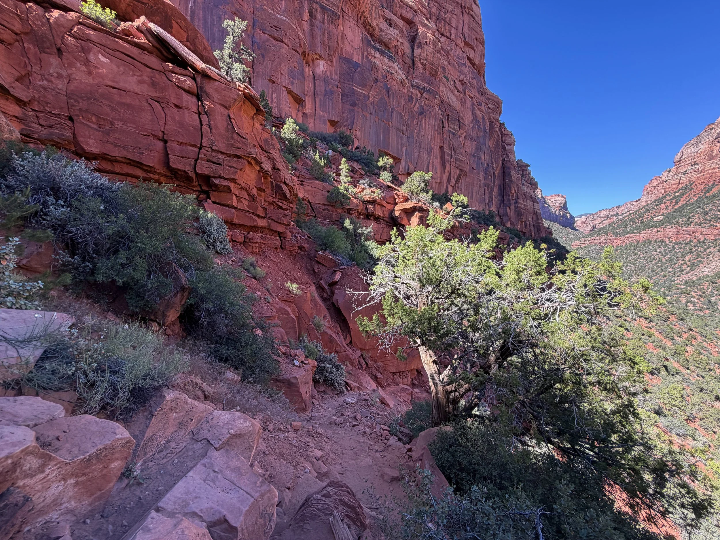 Left Fork Trail to Subway Zion National Park Utah