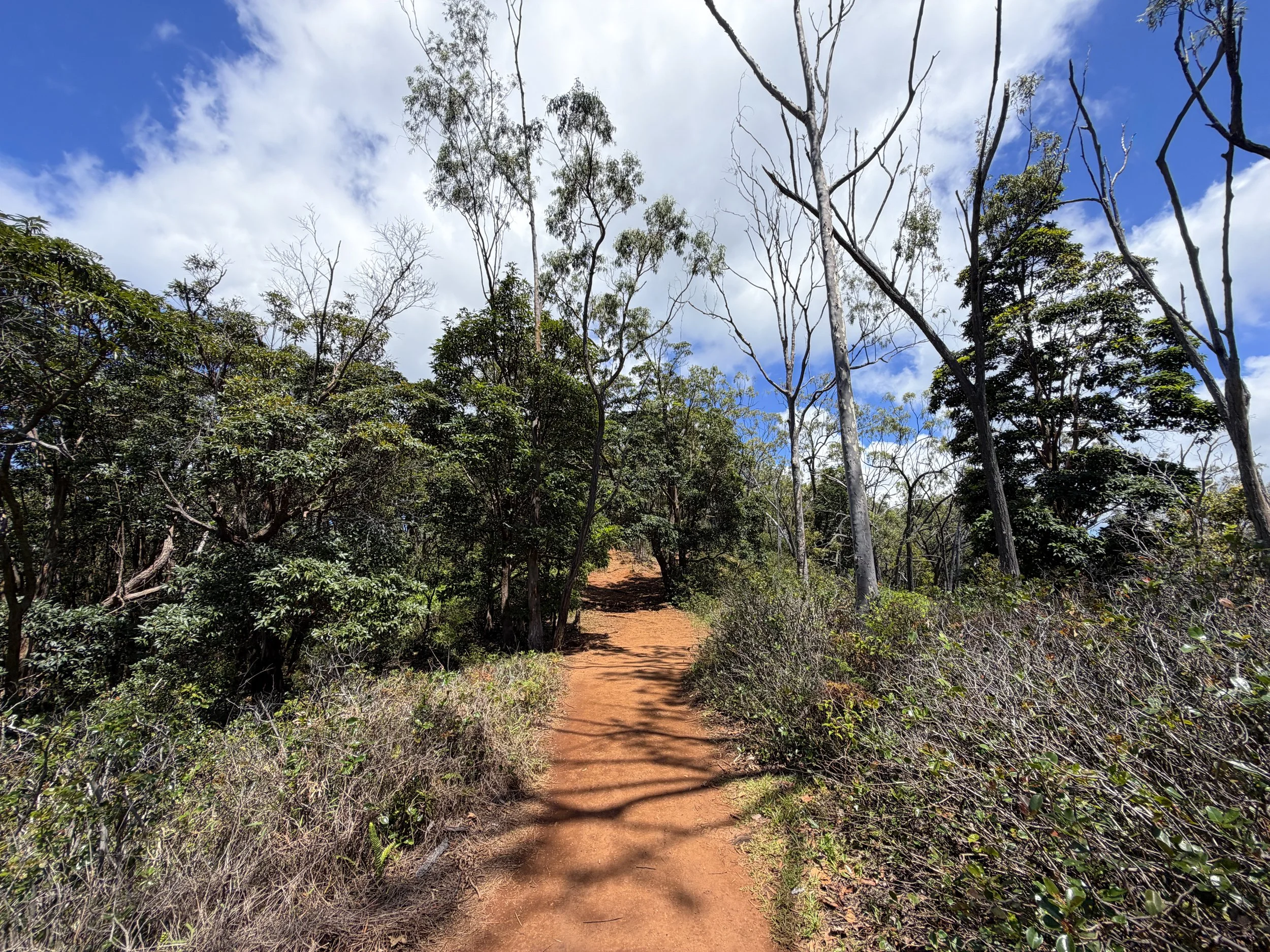 Waimano Falls Hike Oahu Hawaii