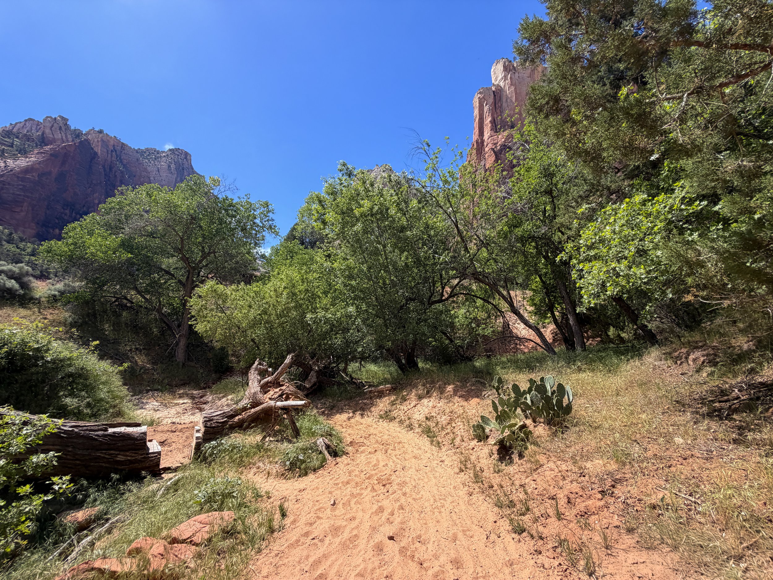 Sand Bench Trail Zion National Park Utah