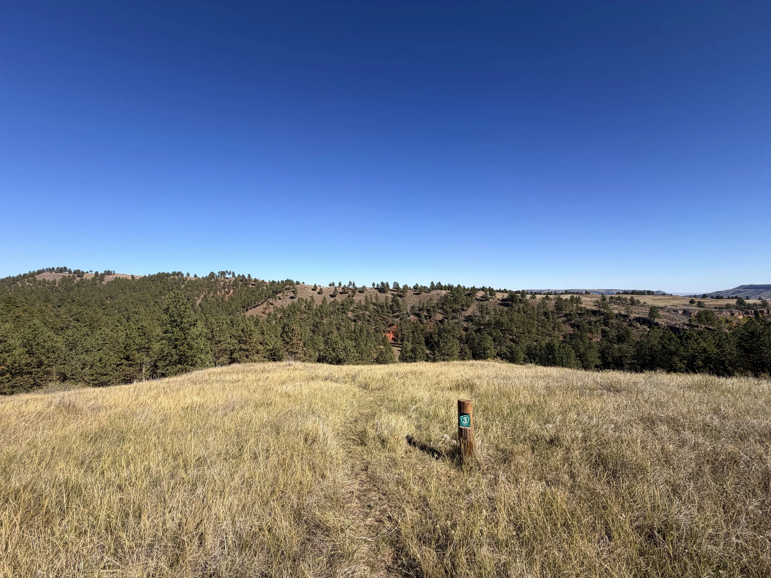 East Bison Flats Hike Wind Cave National Park South Dakota