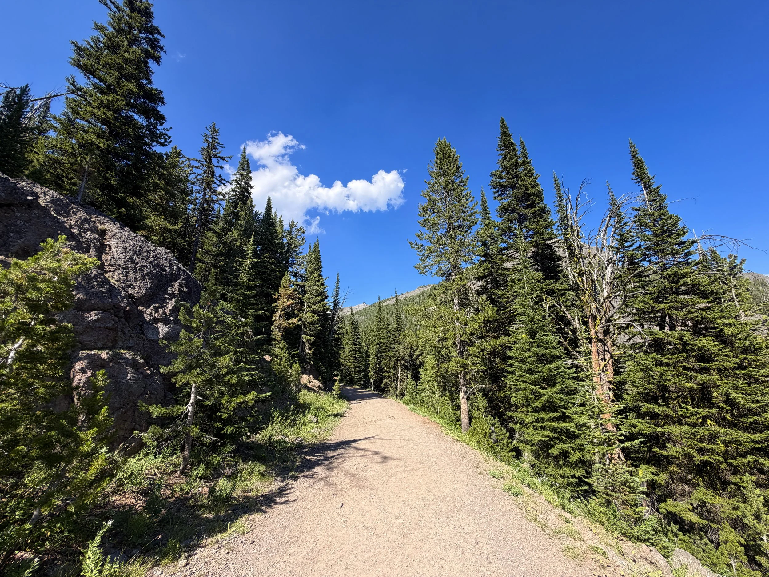 Mount Washburn Trail via Dunraven Pass Yellowstone National Park Wyoming