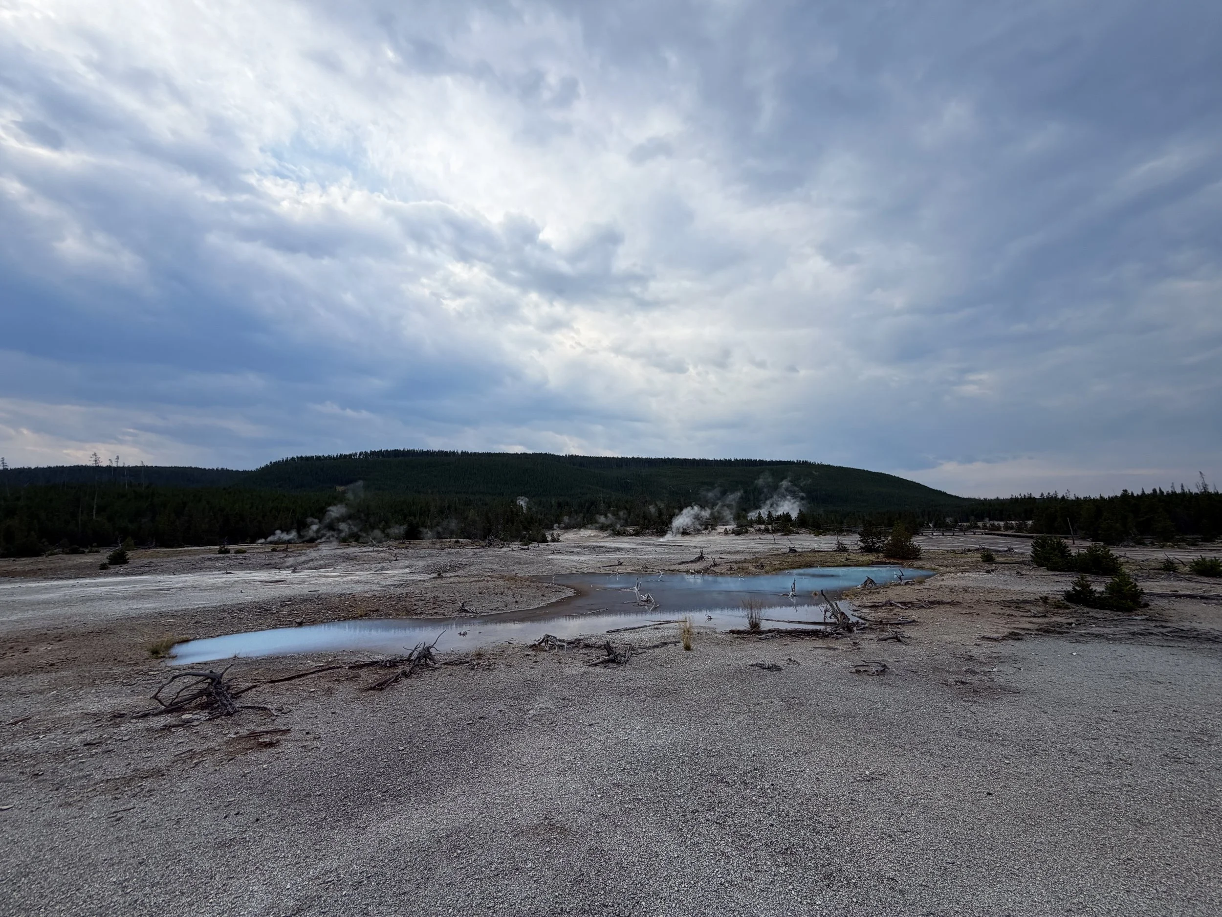 Norris Geyser Basin Trail Yellowstone National Park Wyoming