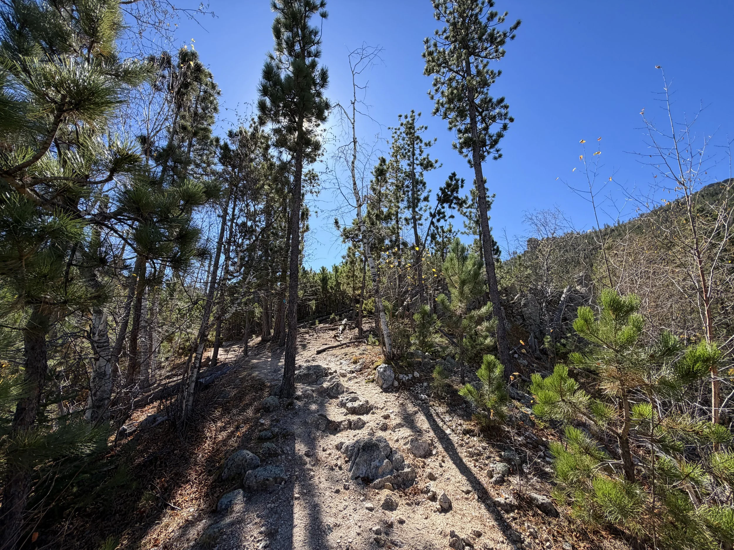 Sunday Gulch Trail Custer State Park Black Hills South Dakota