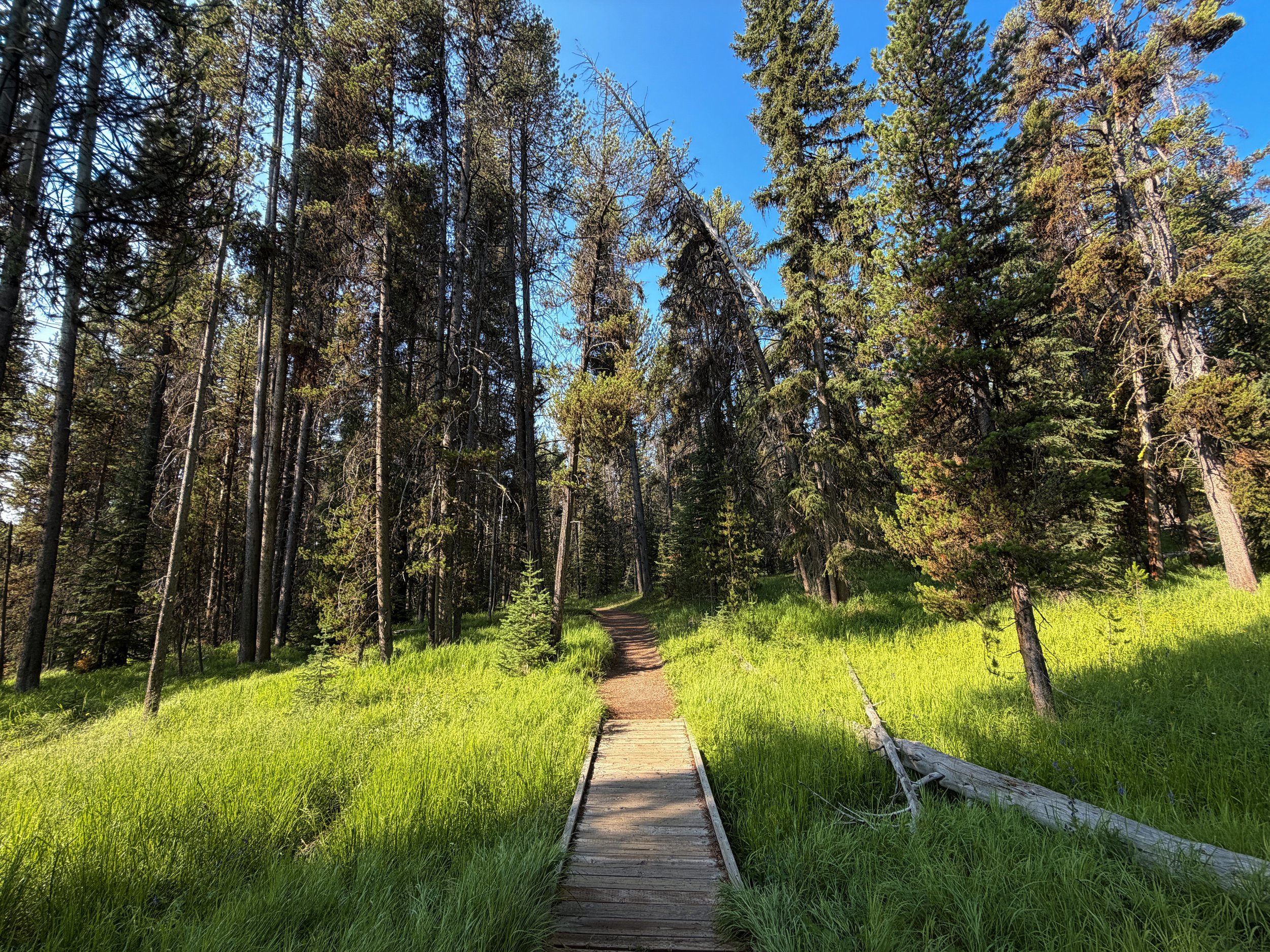 Natural Bridge Trail Yellowstone National Park Wyoming