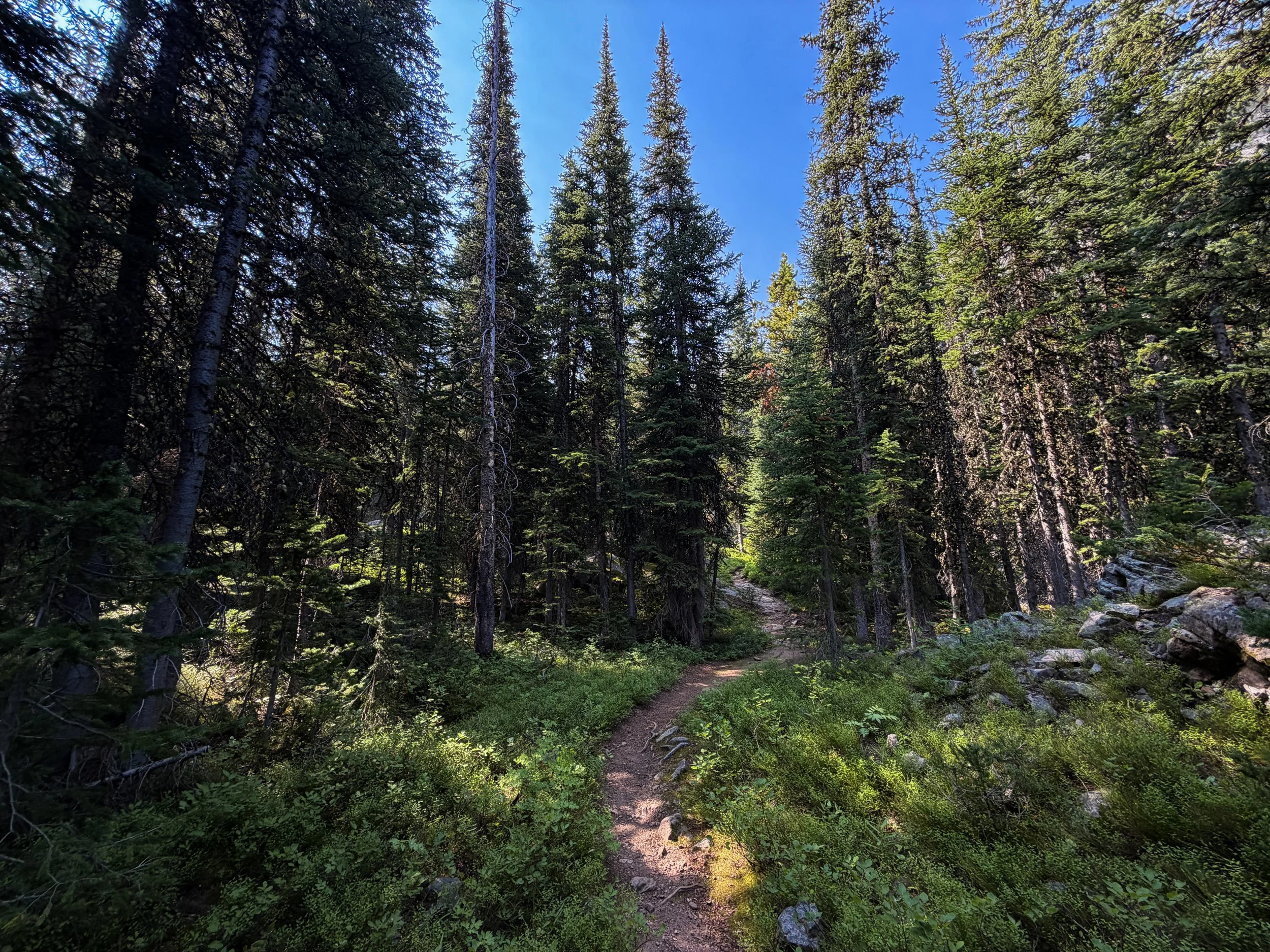 East Rosebud Trail The Beaten Path Beartooth Mountains Montana